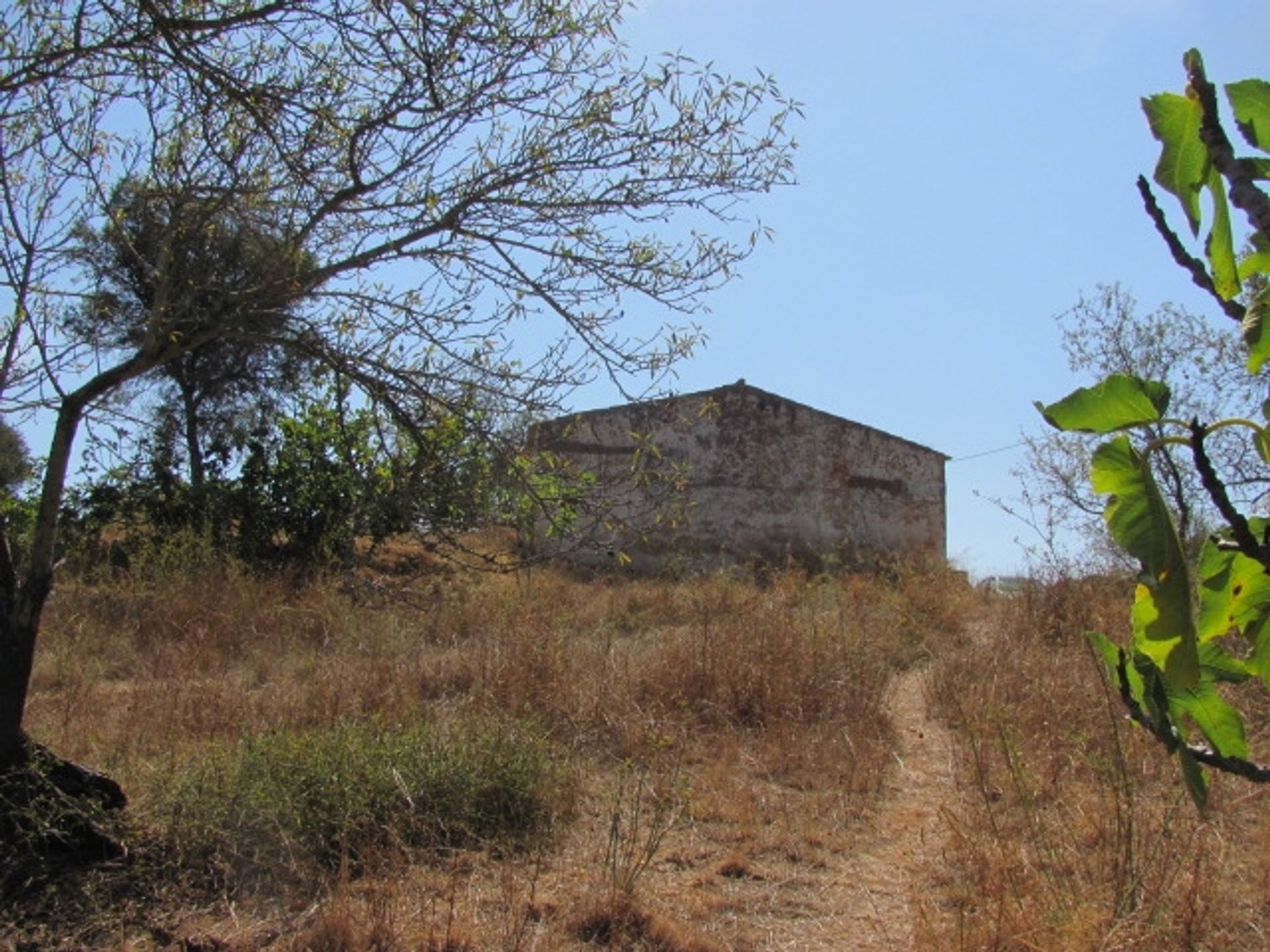 الأرض في Porches, Algarve 10093826