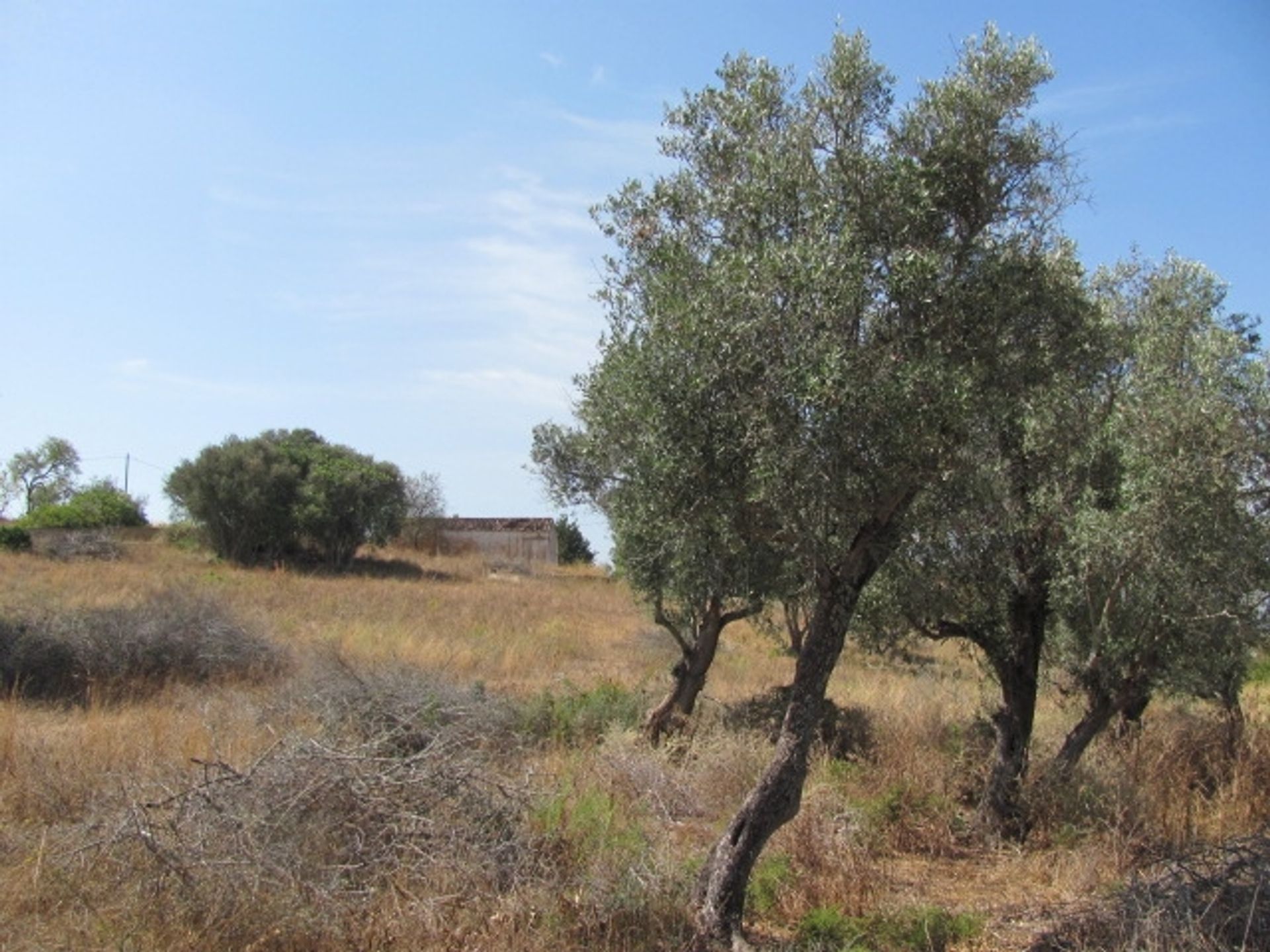 Γη σε Porches, Algarve 10093826