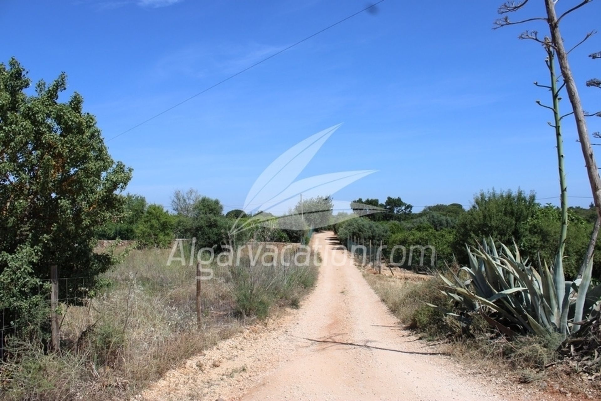 Huis in Silves, Algarve 10093850