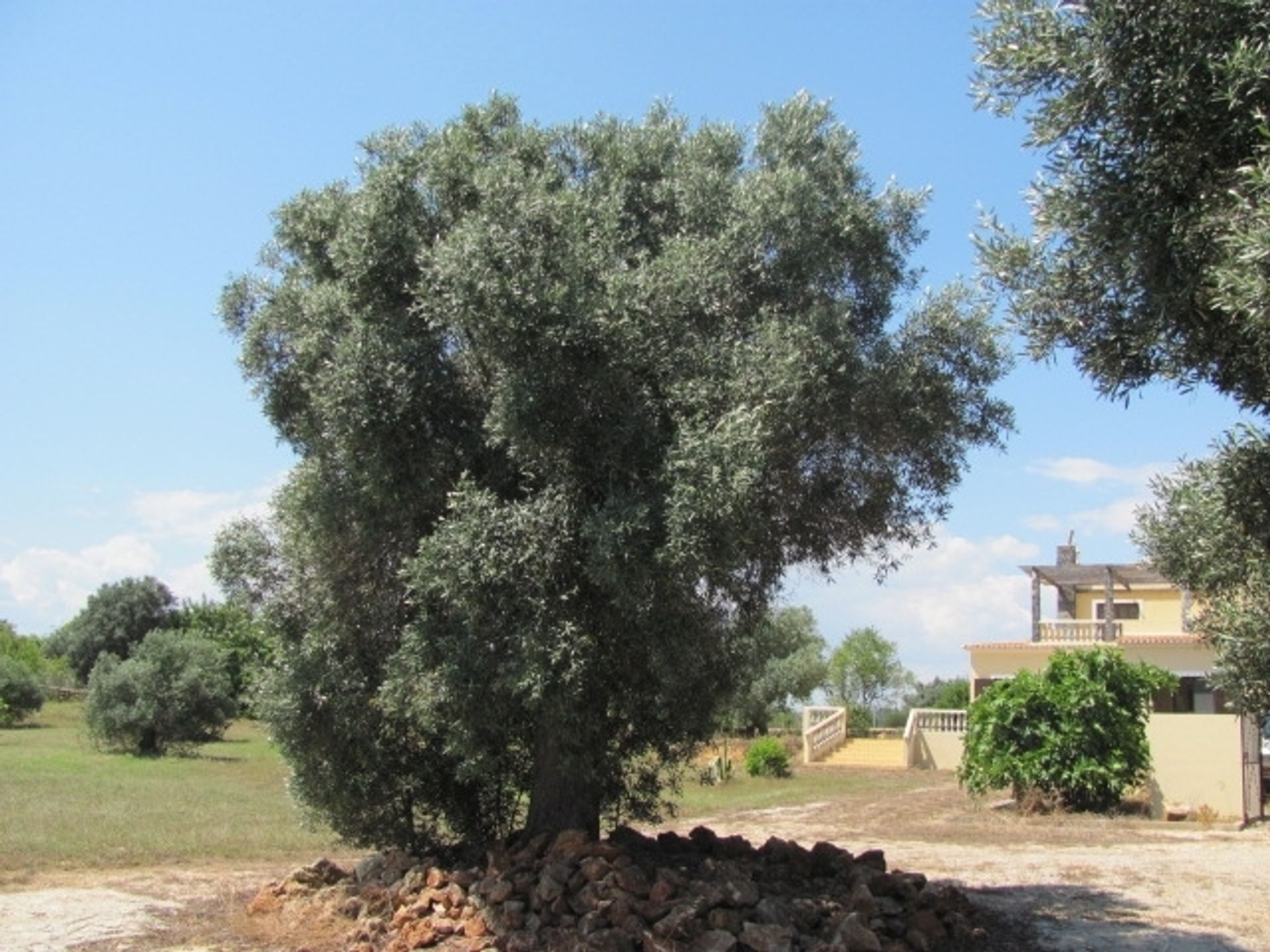 Casa nel Alcantarilha, Algarve 10093854