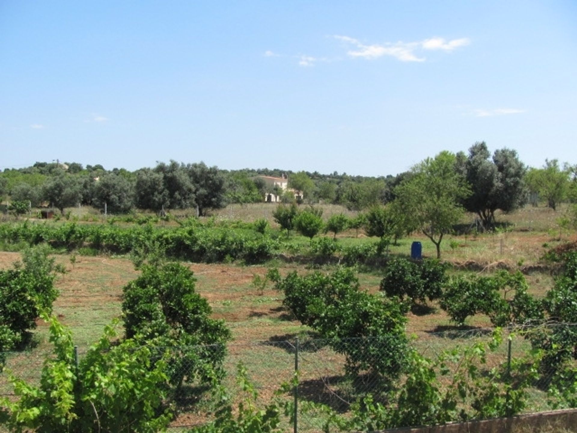 Casa nel Alcantarilha, Algarve 10093854