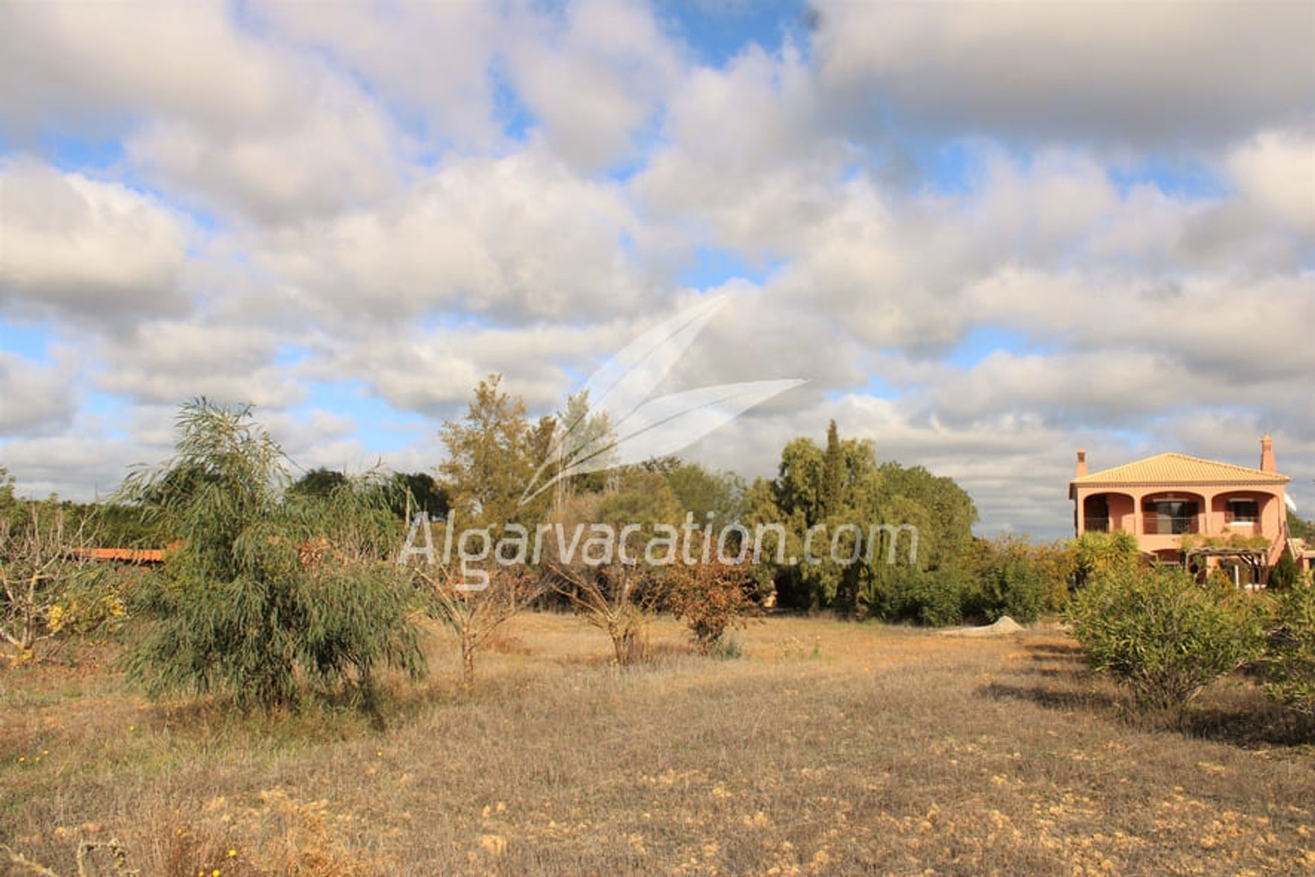 بيت في Algoz, Algarve 10093878