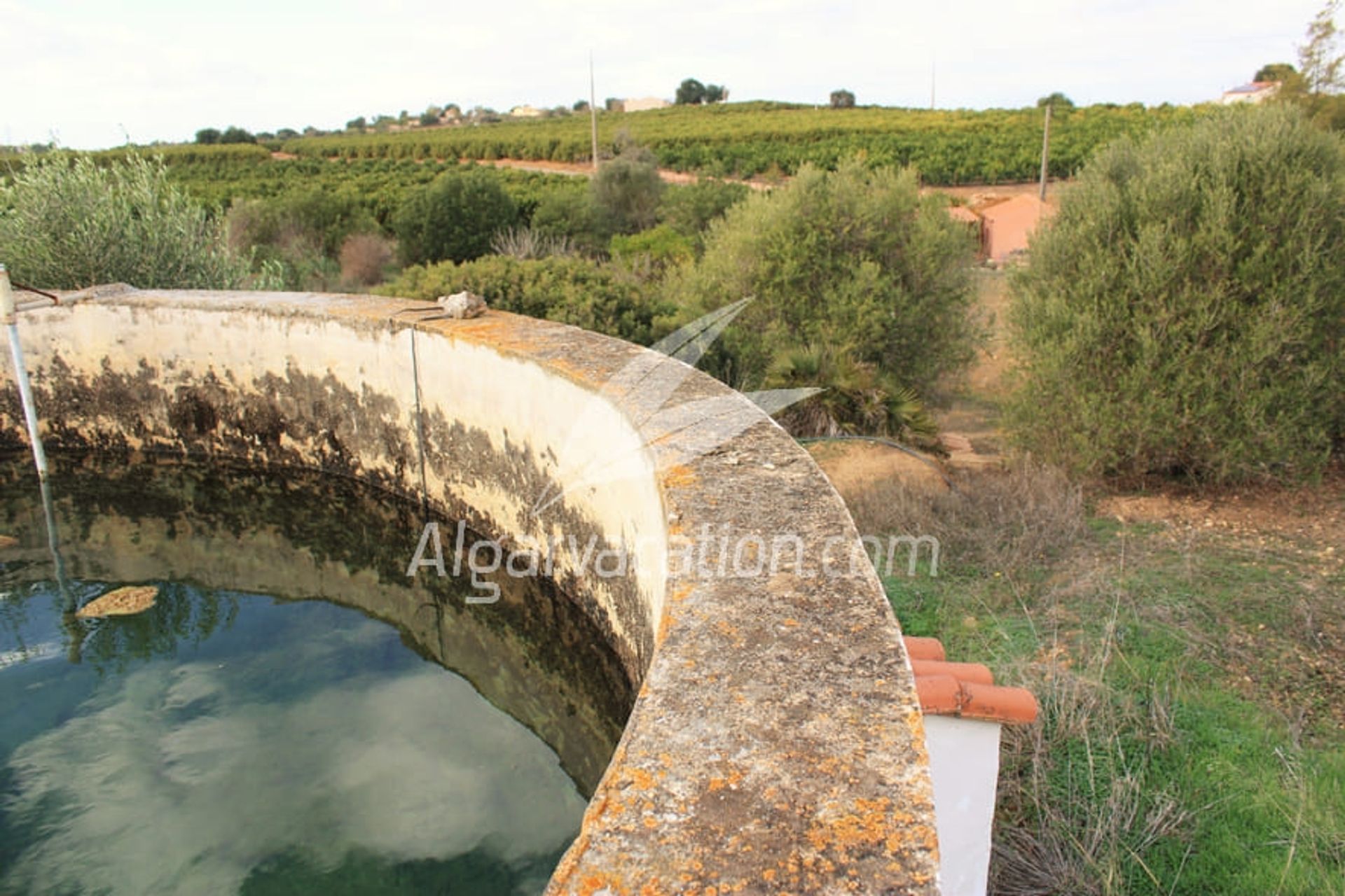 Dom w Algoz, Algarve 10093878