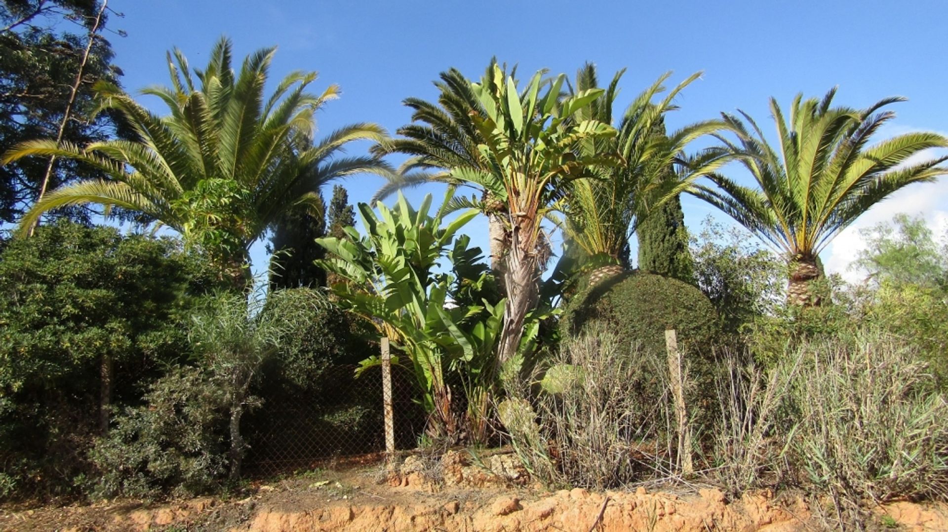 Casa nel Porches, Algarve 10093898