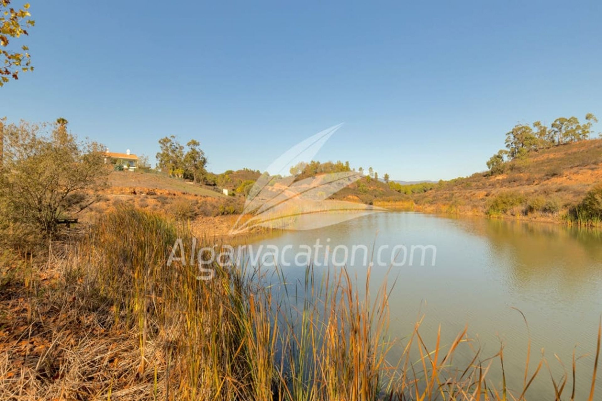 بيت في Portimao, Faro 10093922