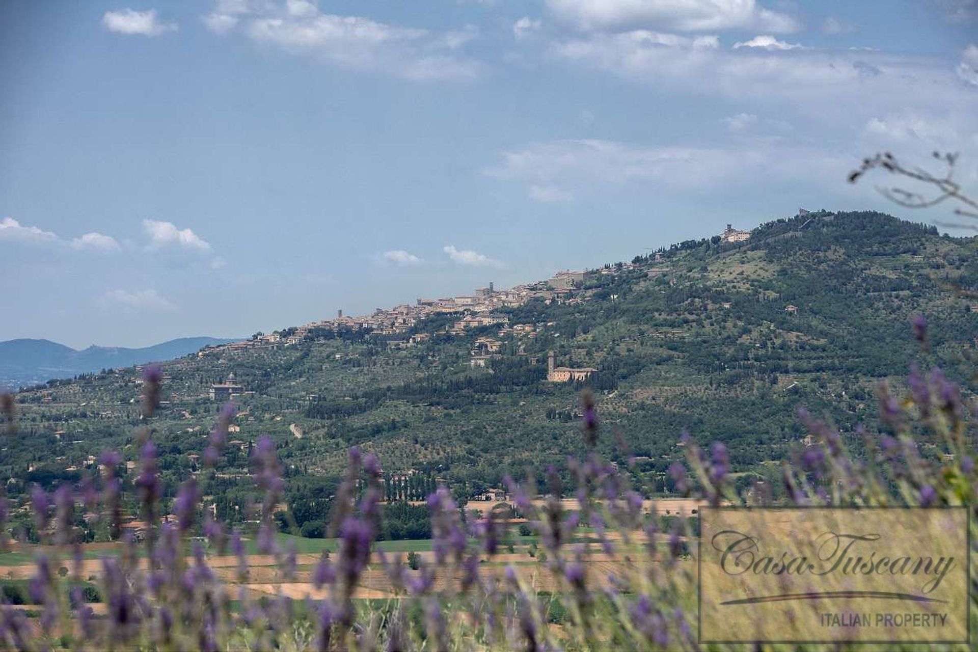 House in Cortona, Tuscany 10094009