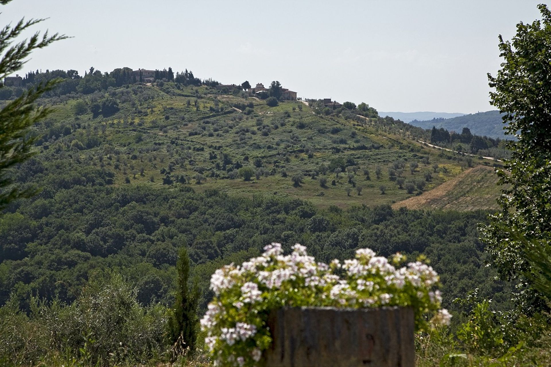 Talo sisään Montaione, Tuscany 10094062