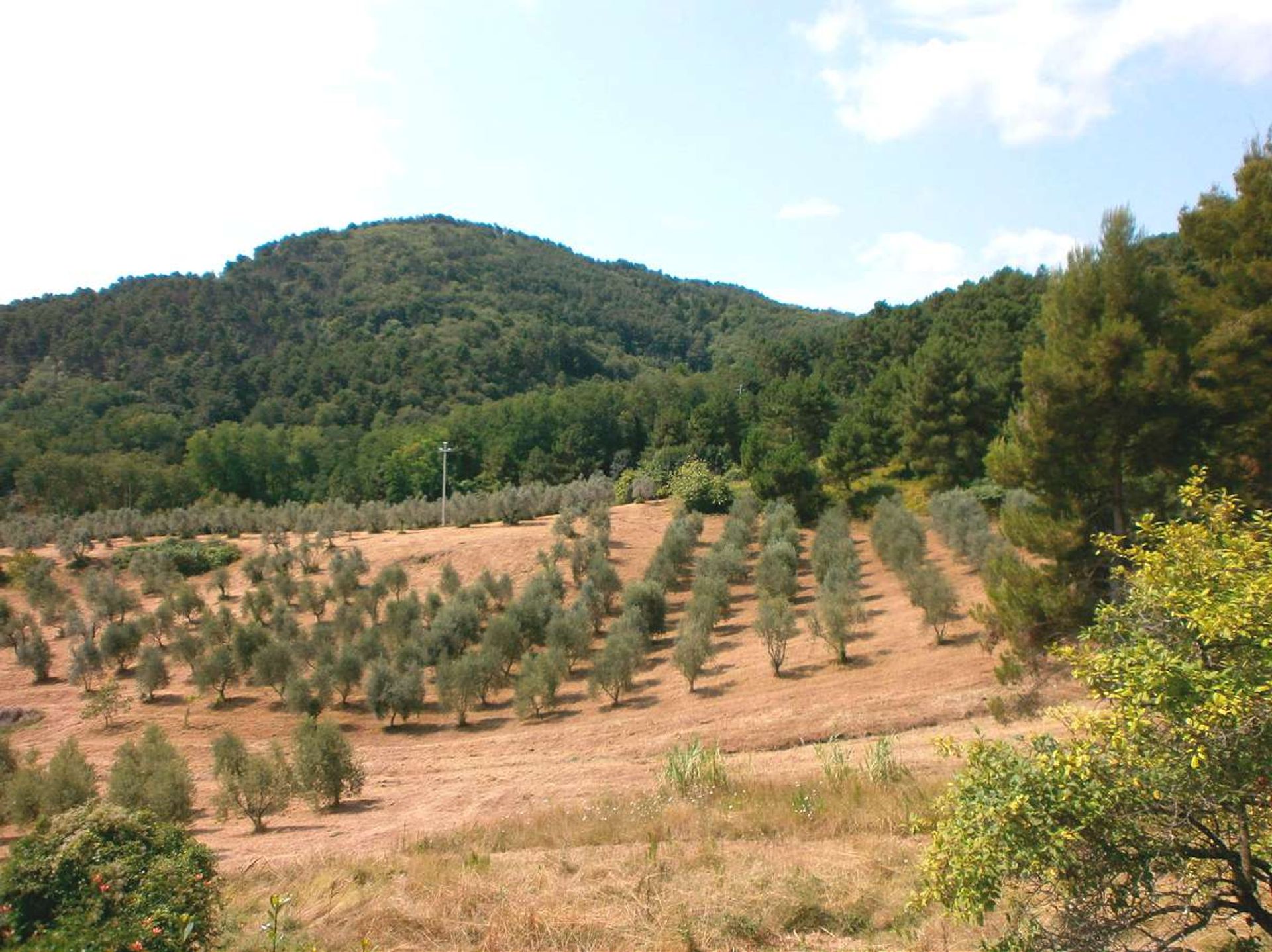 Hus i Chianni, Tuscany 10094162