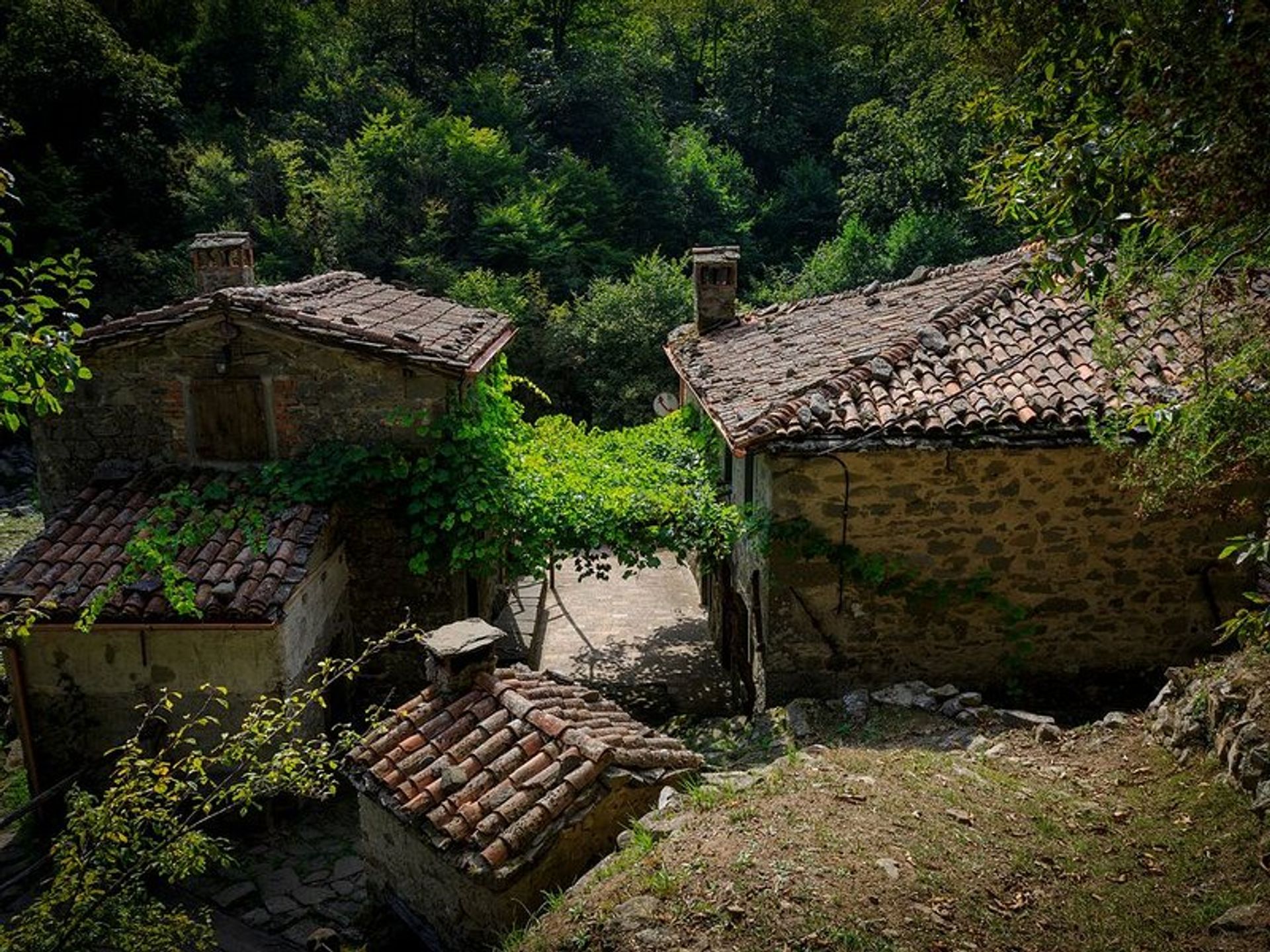 Annen i Pieve Fosciana, Tuscany 10094186