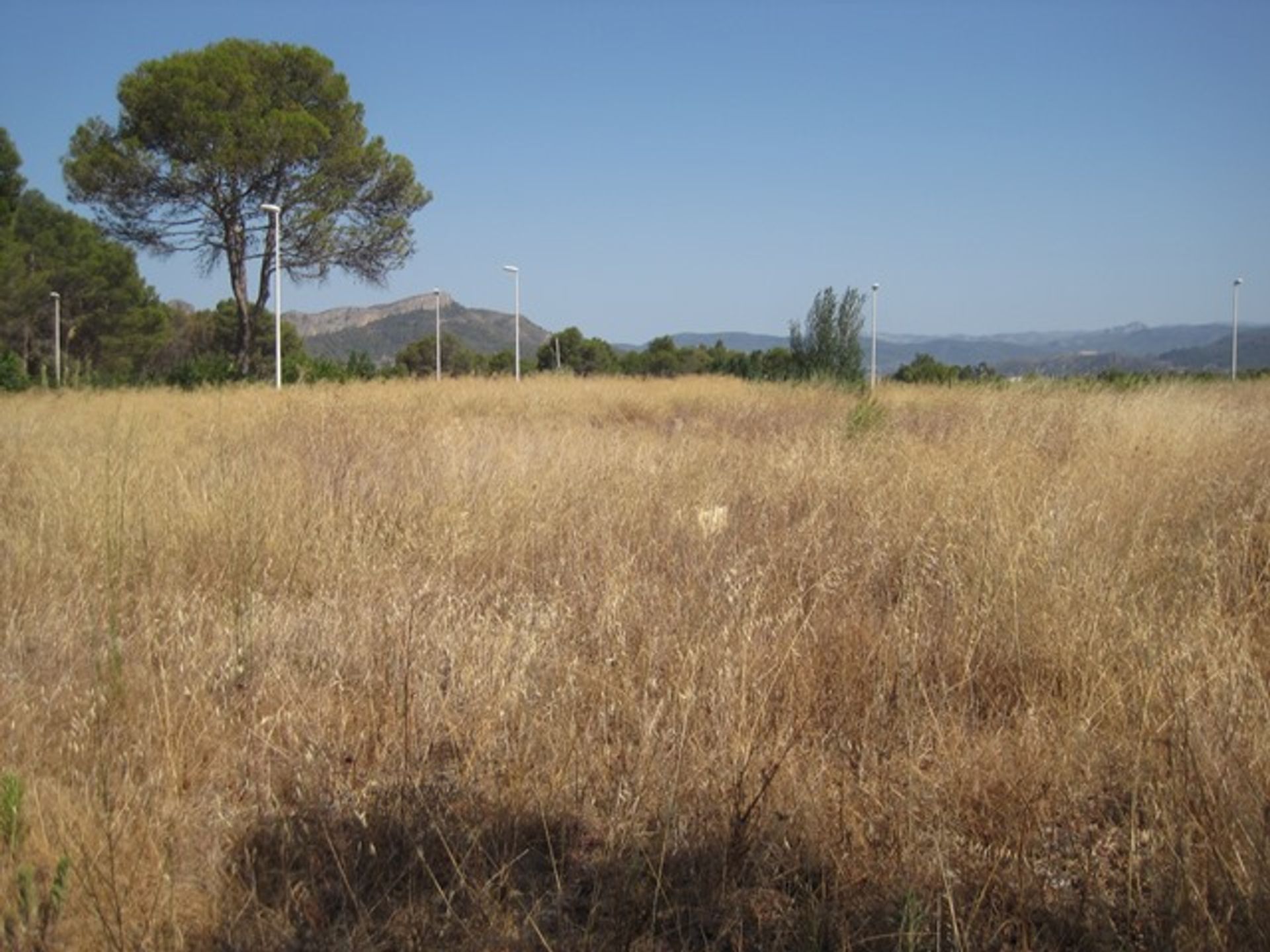 Tierra en Marchuquera, Valencia 10094212