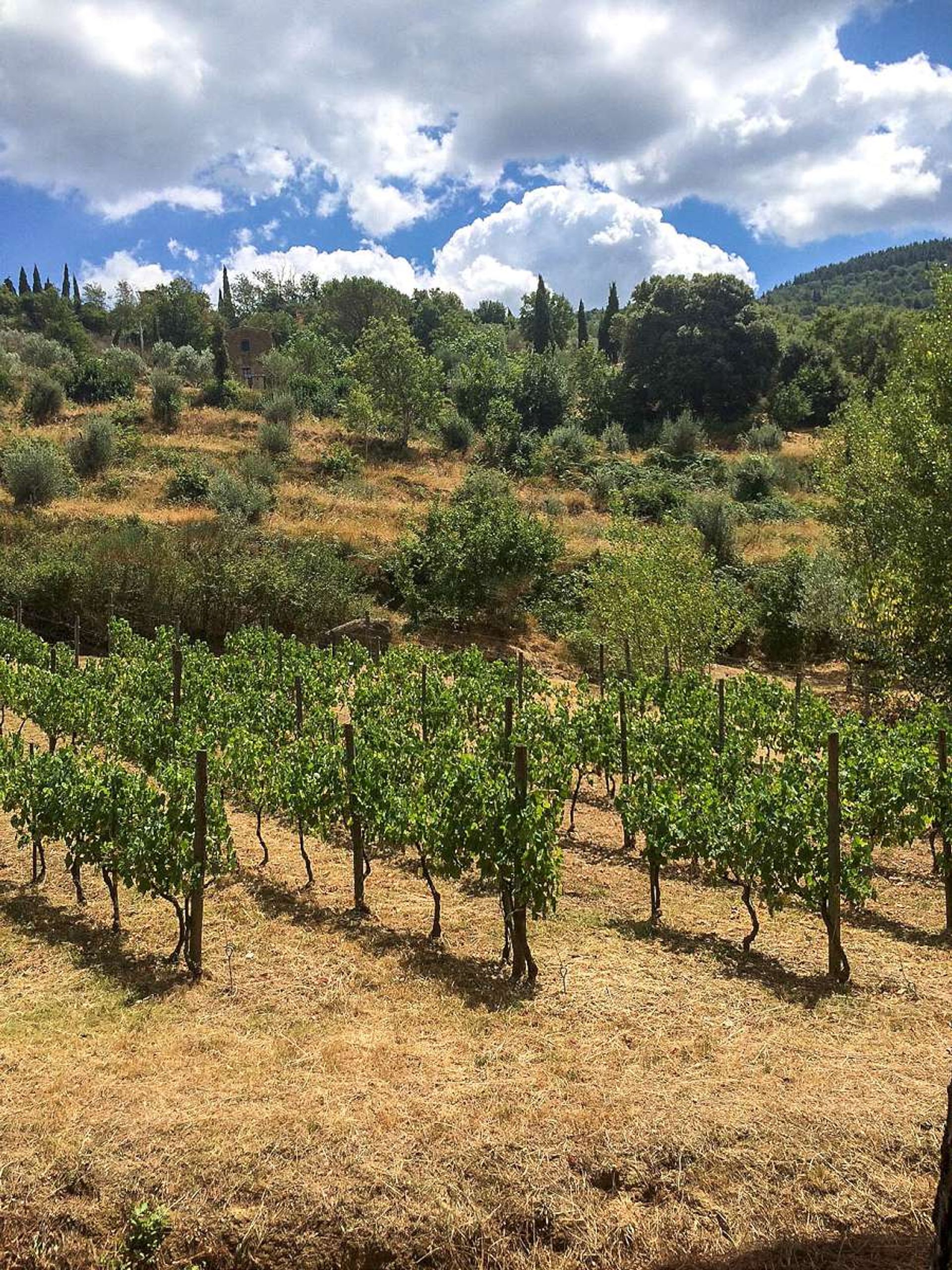 Casa nel Cortona, Tuscany 10094238