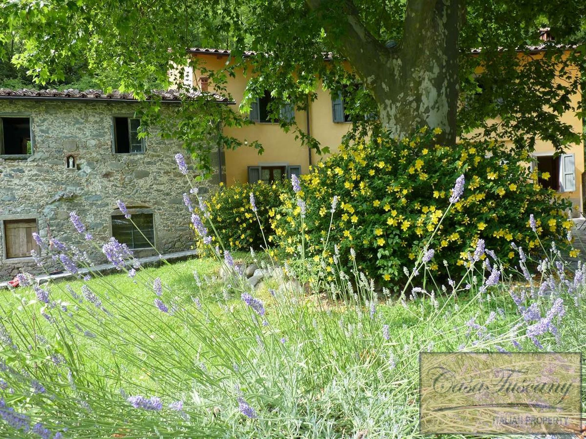 Autre dans Coreglia Antelminelli, Toscane 10094313