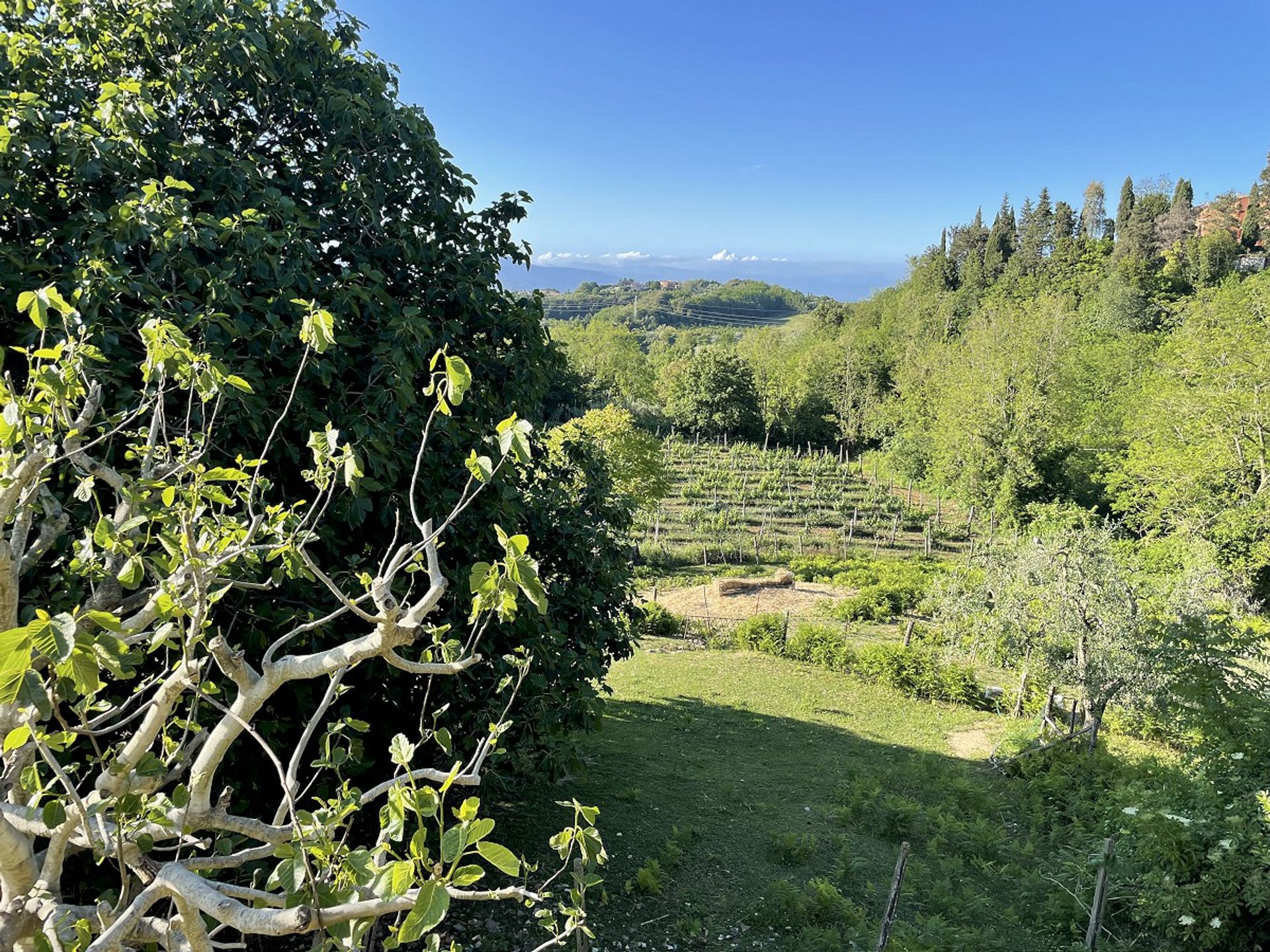 loger dans Casciana Terme, Tuscany 10094323