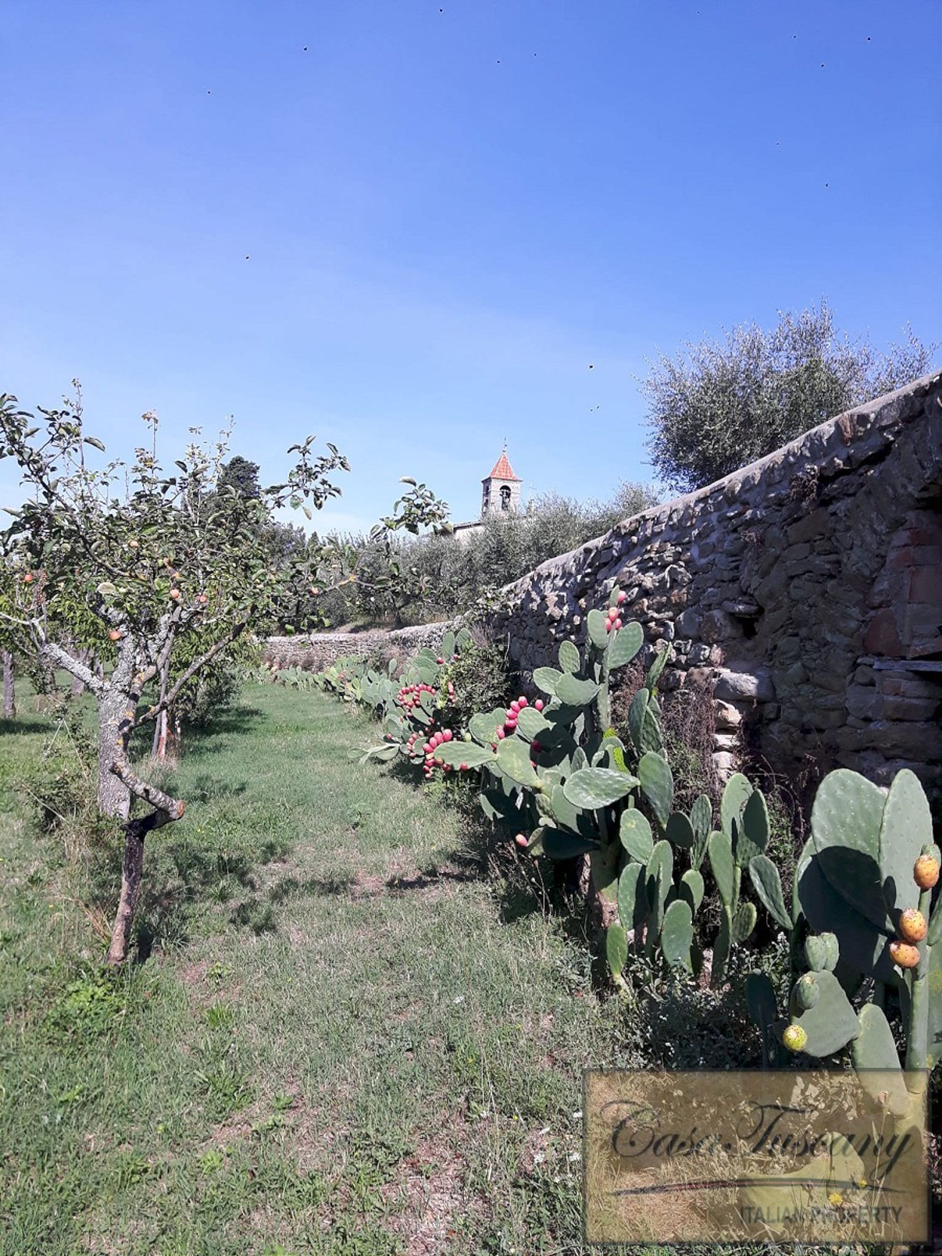 loger dans Cortona, Tuscany 10094336