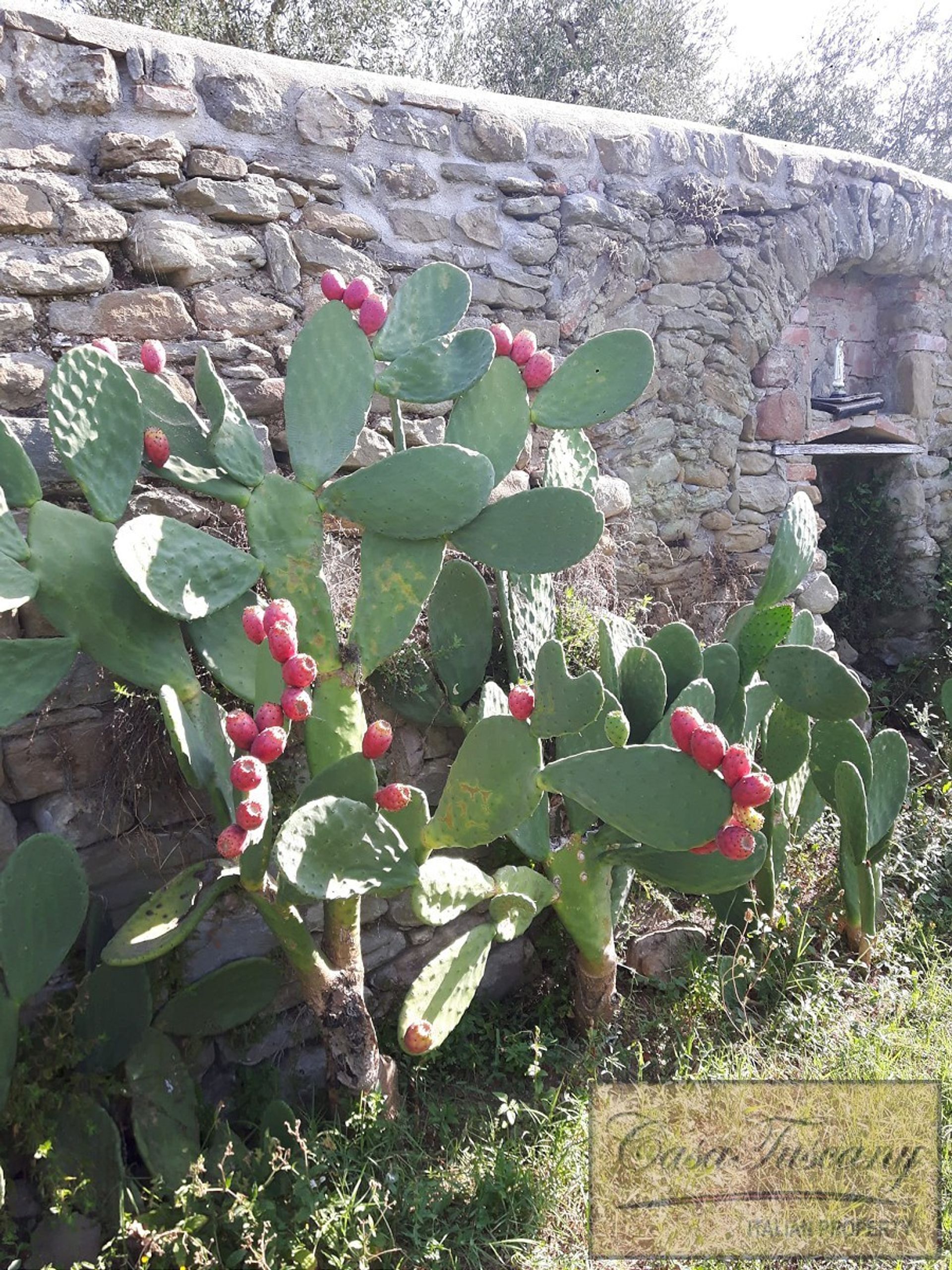 loger dans Cortona, Tuscany 10094336