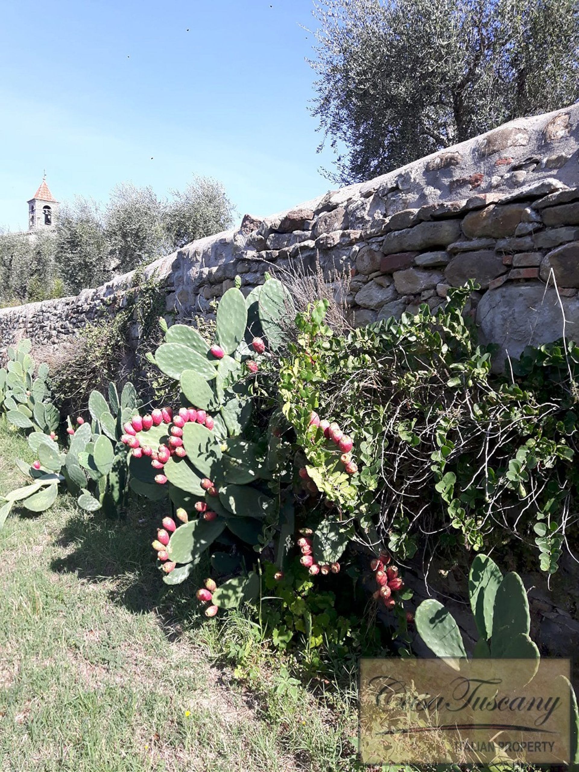 loger dans Cortona, Tuscany 10094336