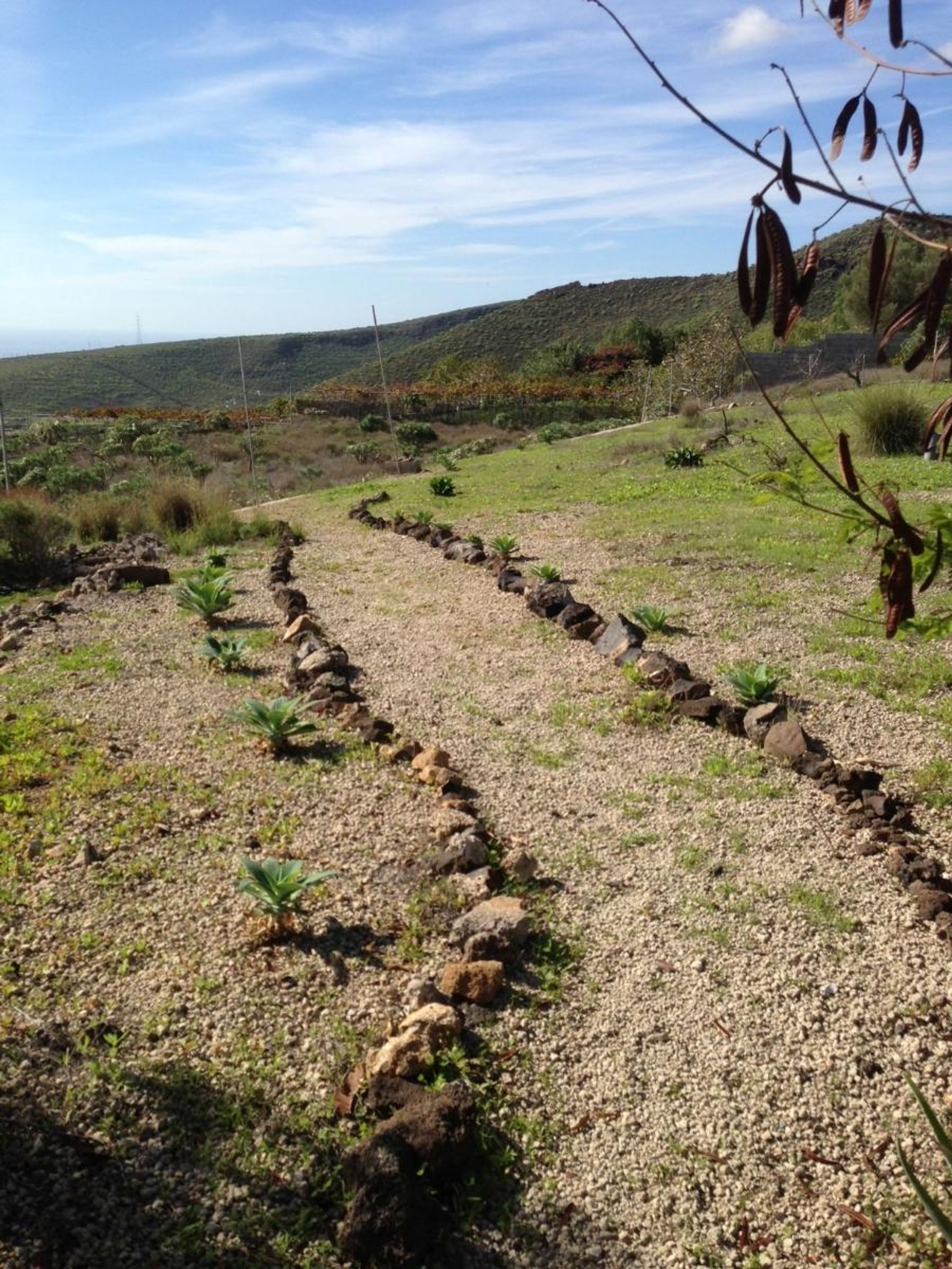 Hus i Aldea Blanca,  10094414