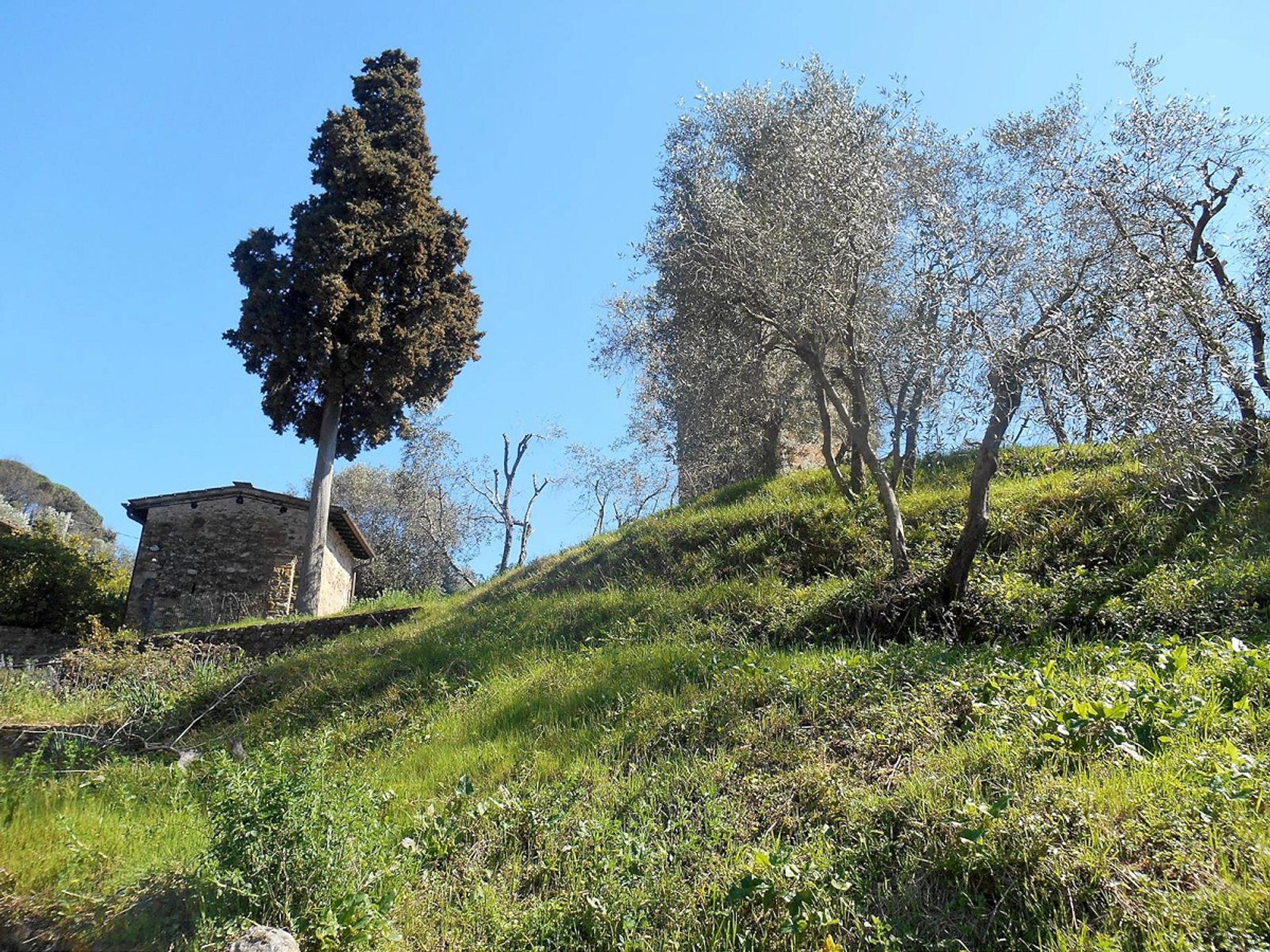 rumah dalam Lucca, Tuscany 10094437