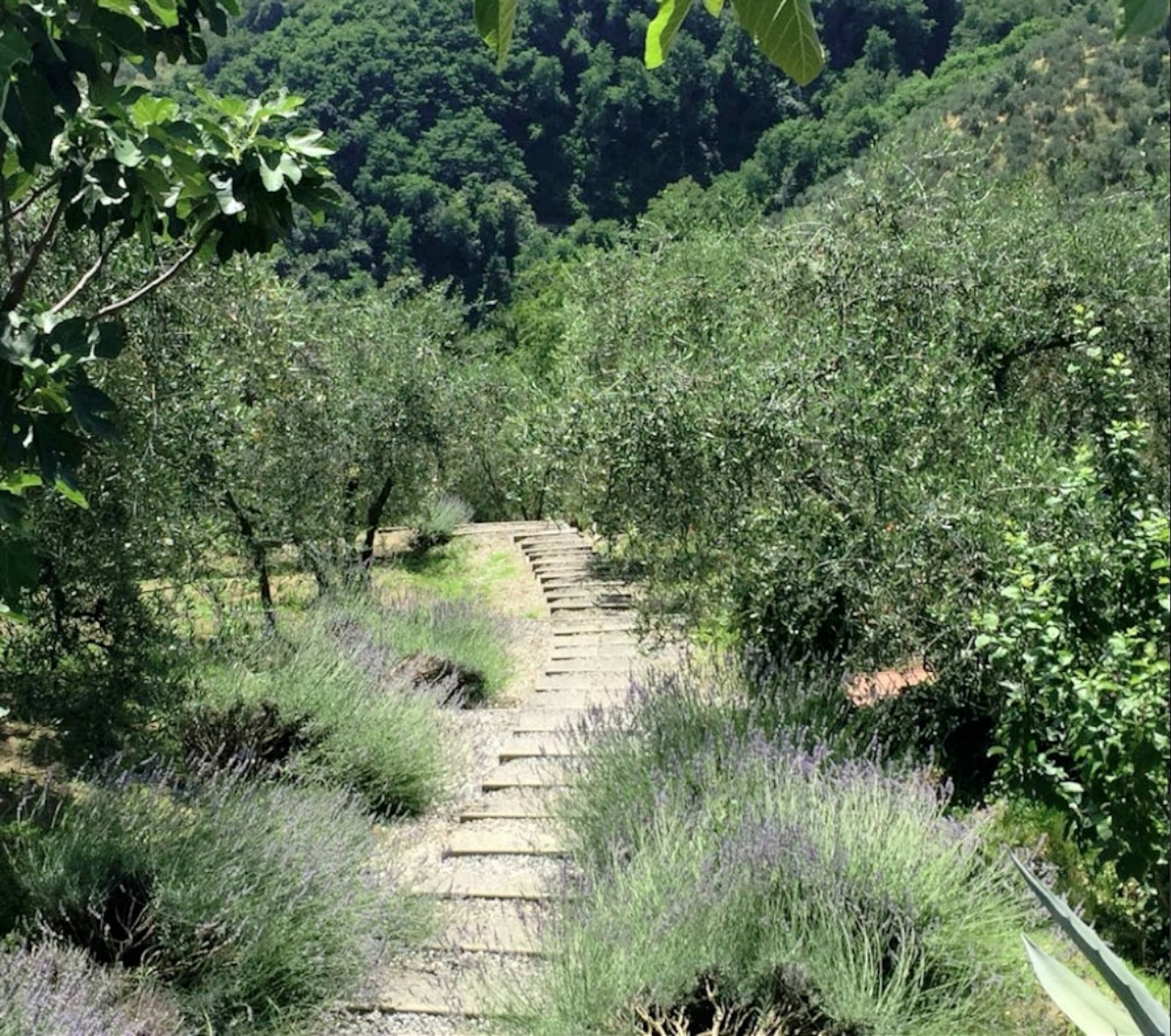 Rumah di Montecatini Terme, Tuscany 10094448