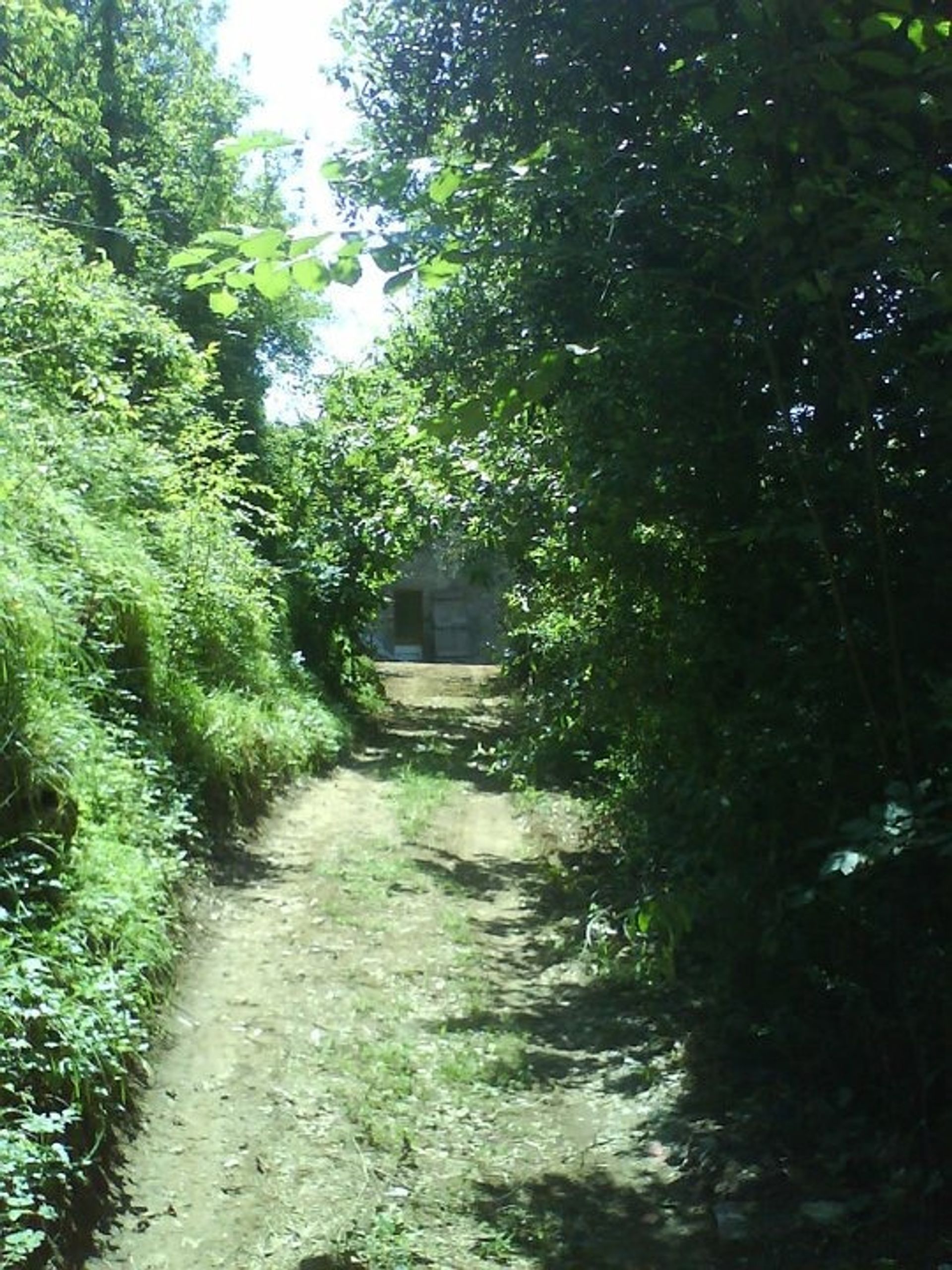 집 에 Vallico Di Sopra, Tuscany 10094452