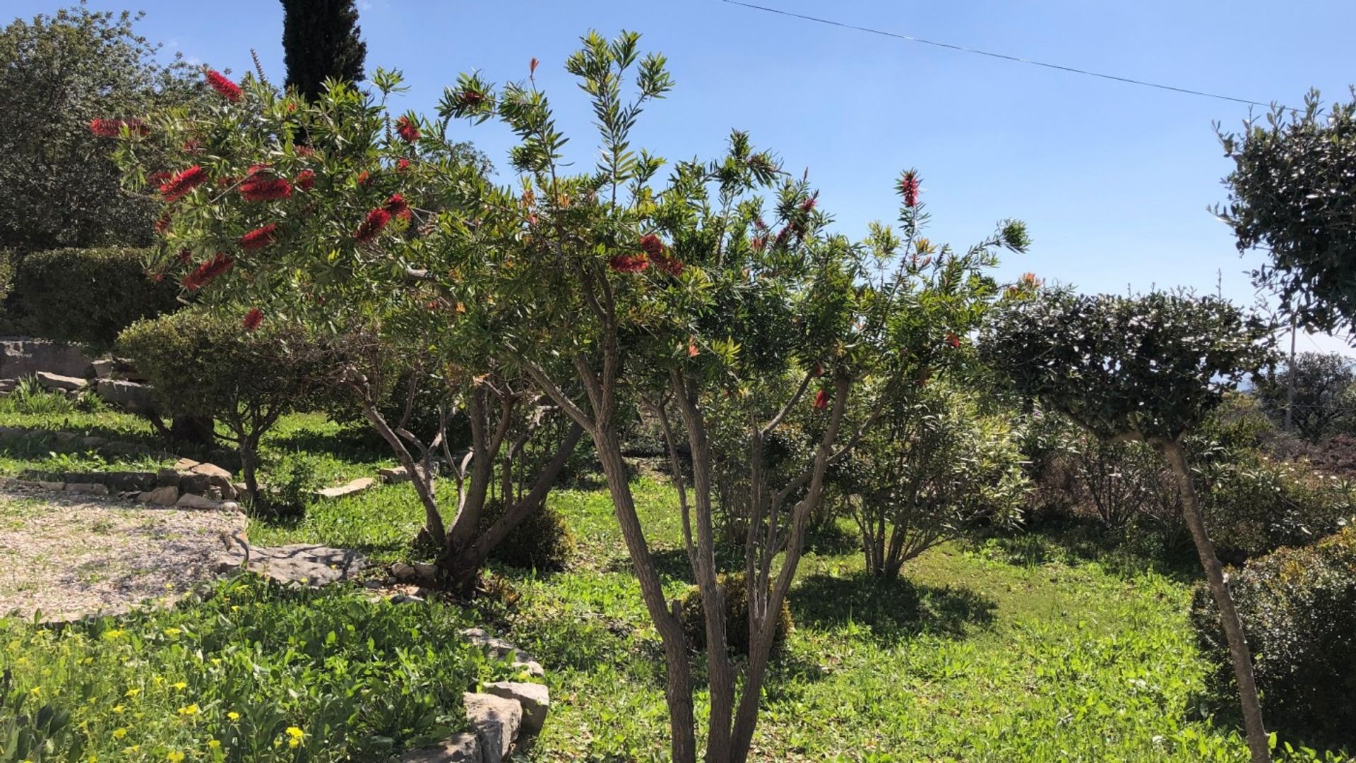 casa no Santa Barbara, Algarve 10094459