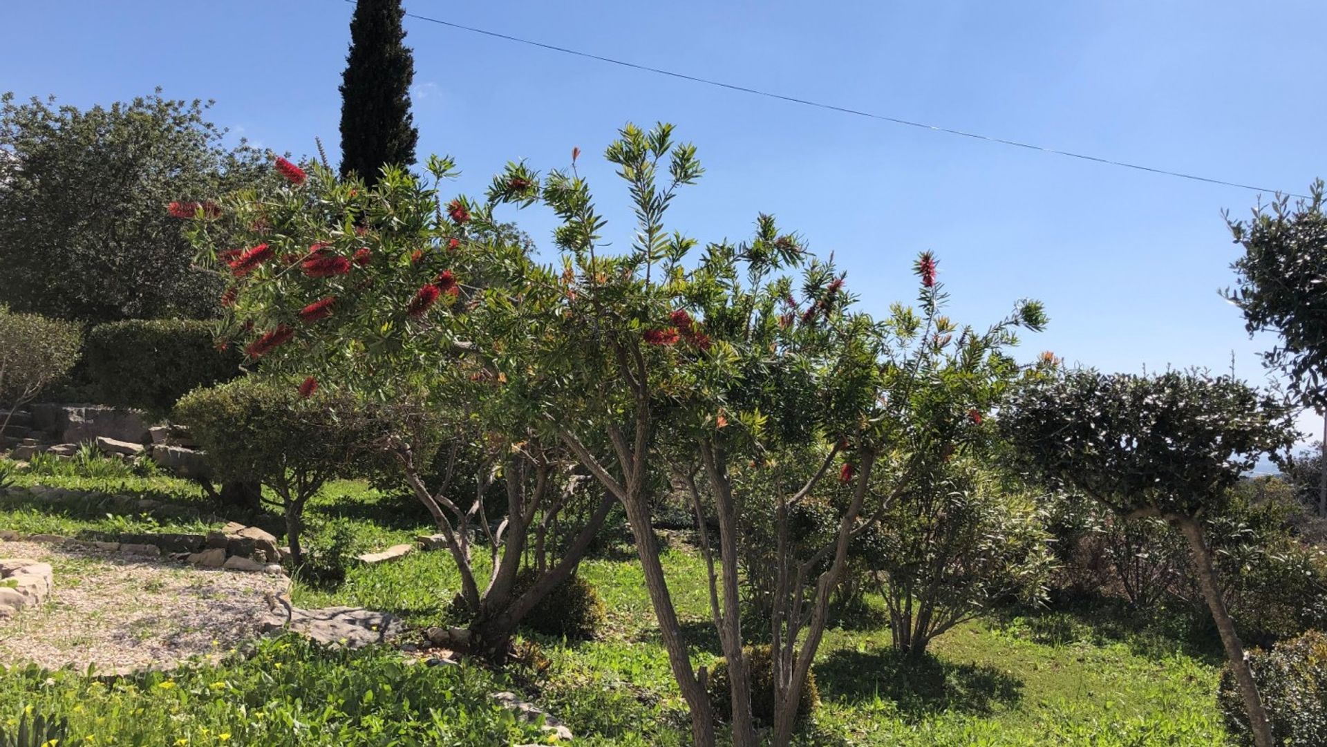 House in Santa Barbara, Algarve 10094459