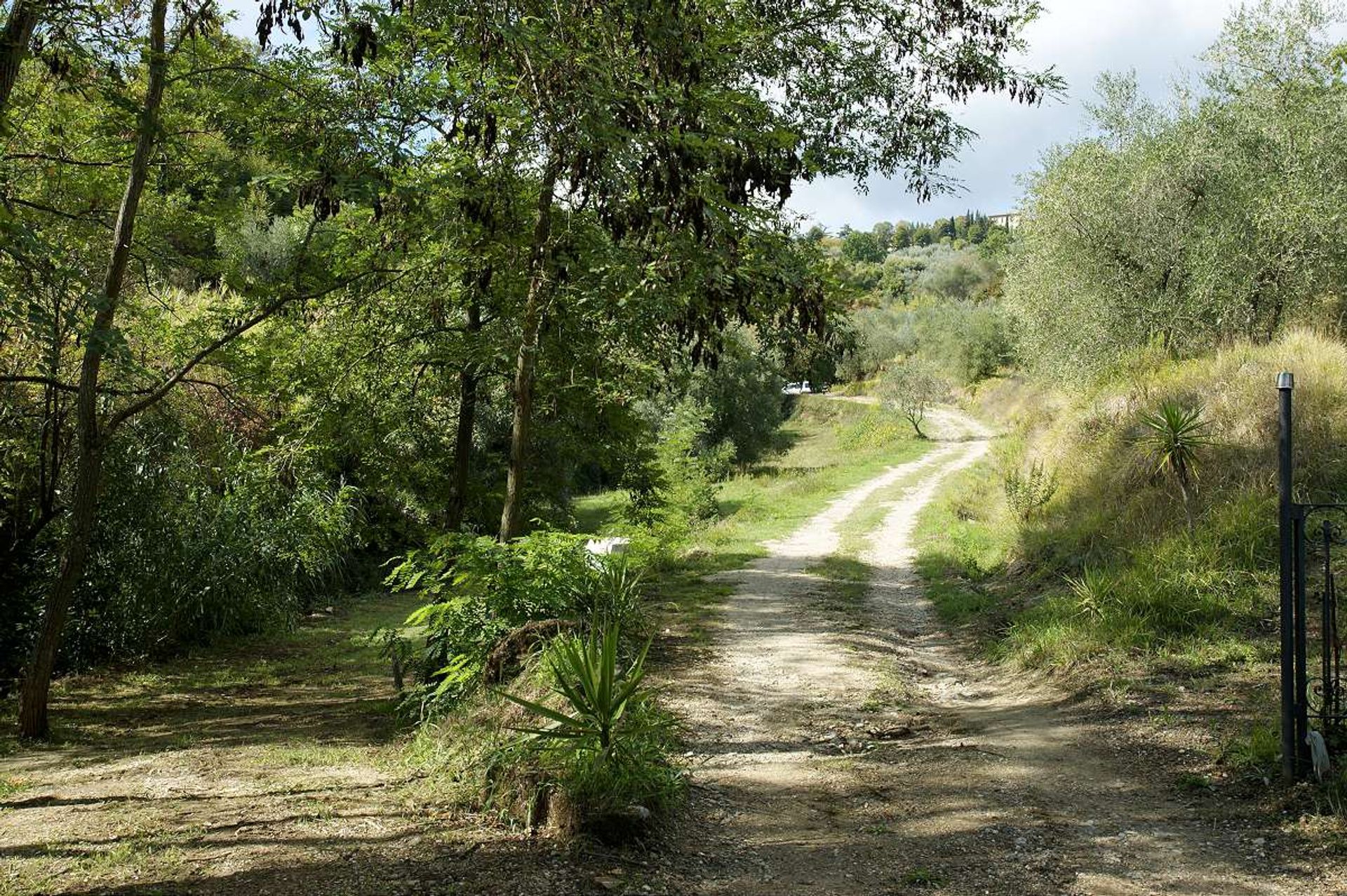 Hus i Chianni, Toscana 10094461