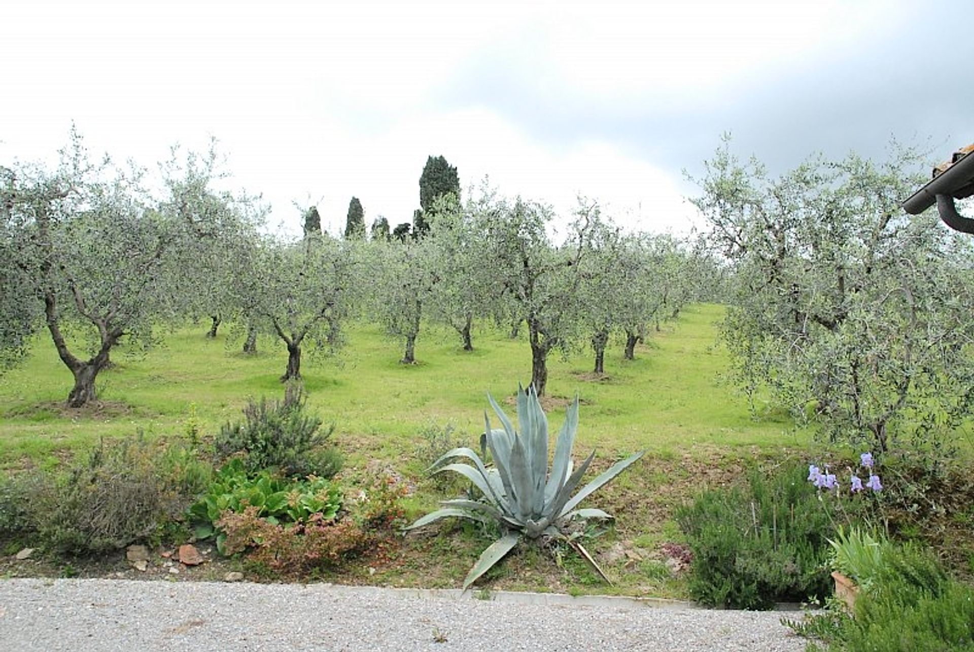 Rumah di Pisa, Tuscany 10094475