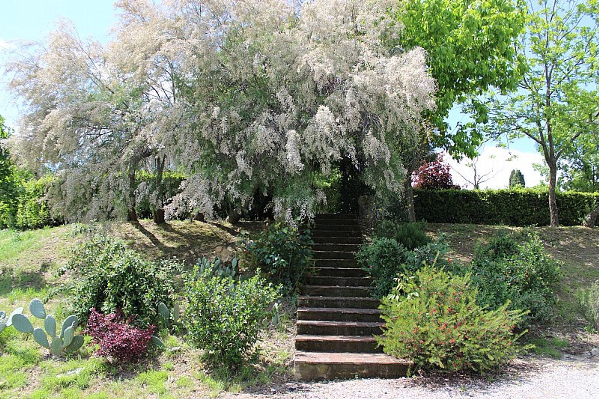 rumah dalam Pisa, Tuscany 10094475