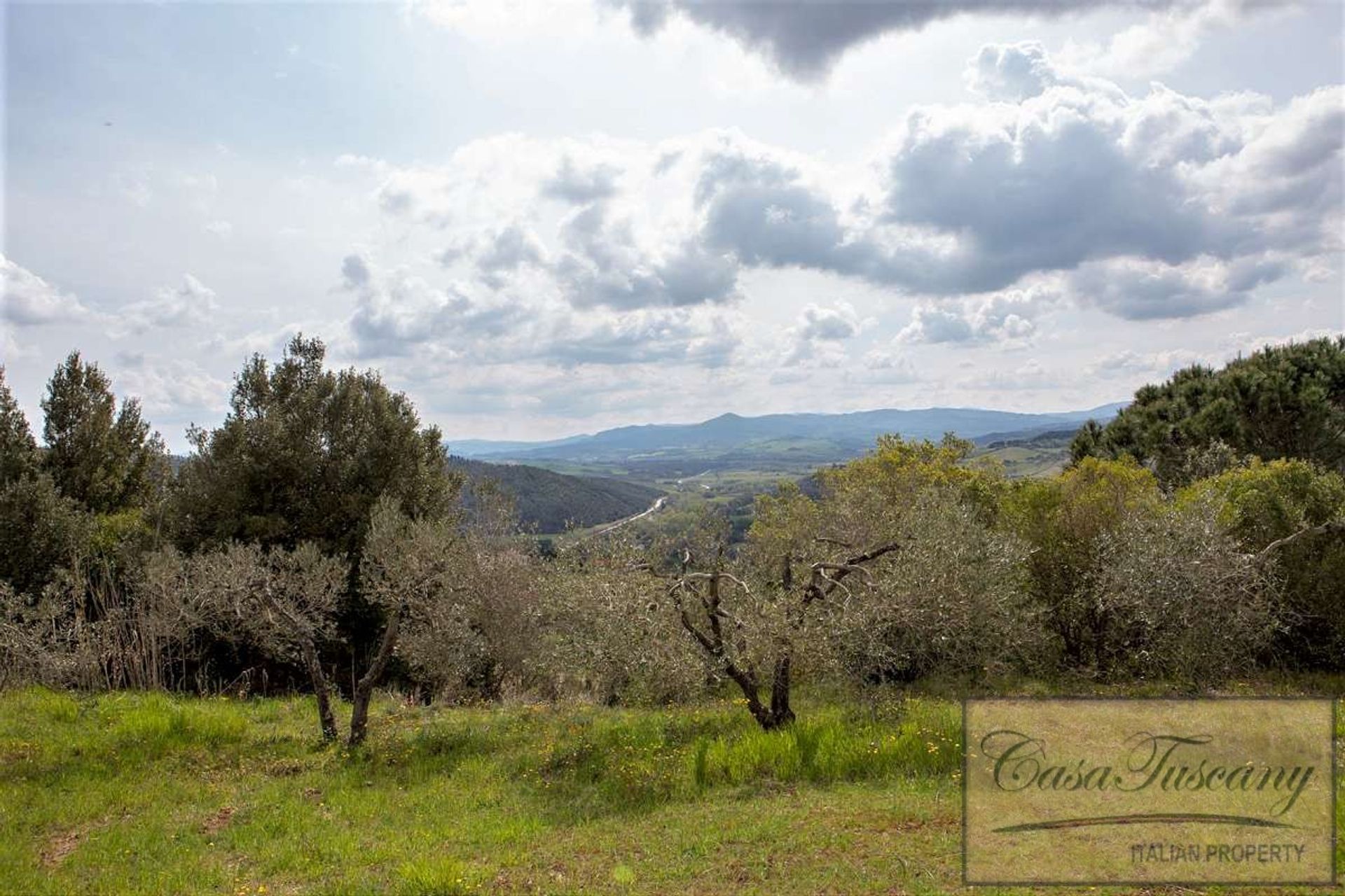 Haus im Riparbella, Tuscany 10094483