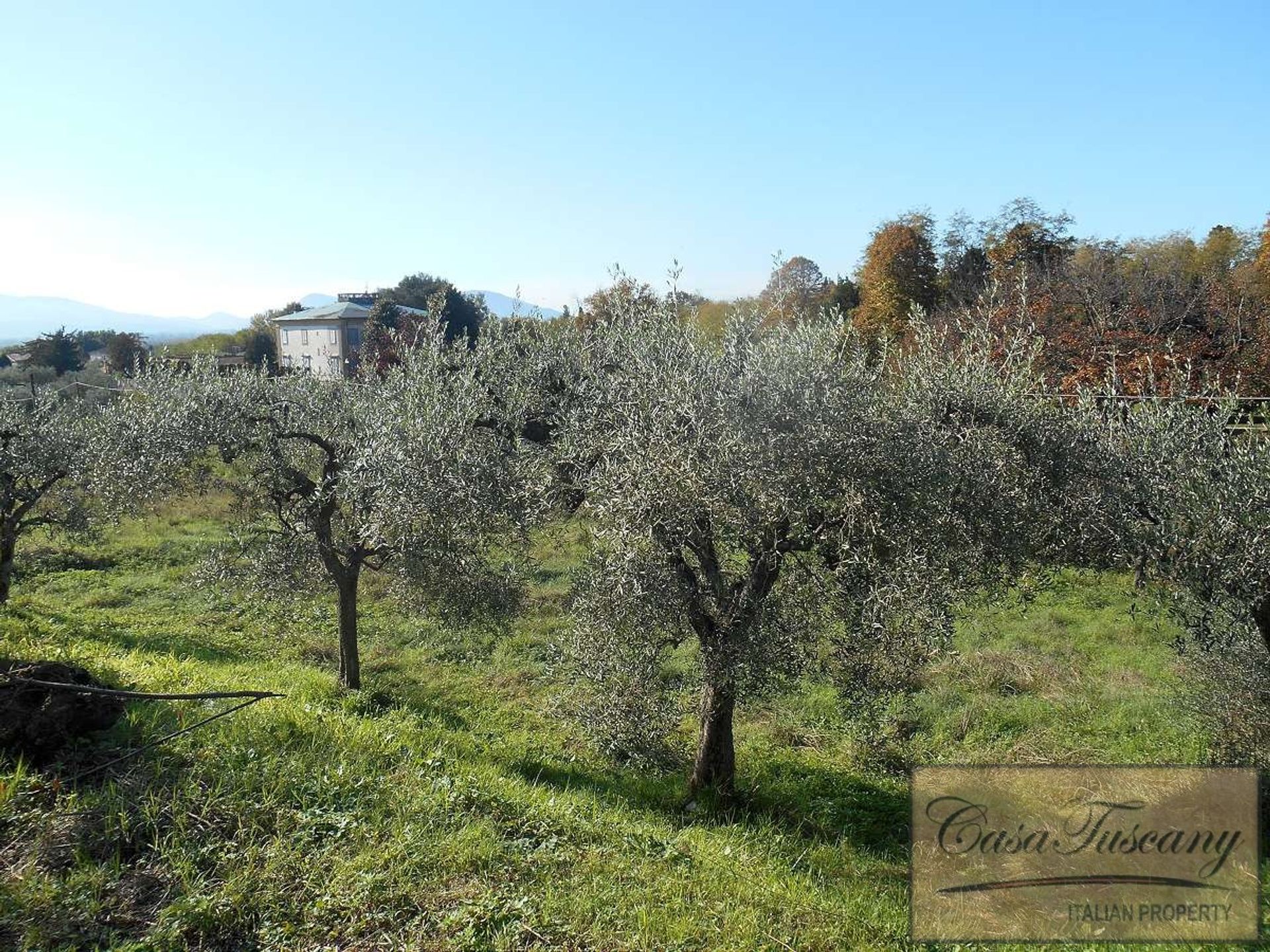 rumah dalam Lucca, Tuscany 10094486