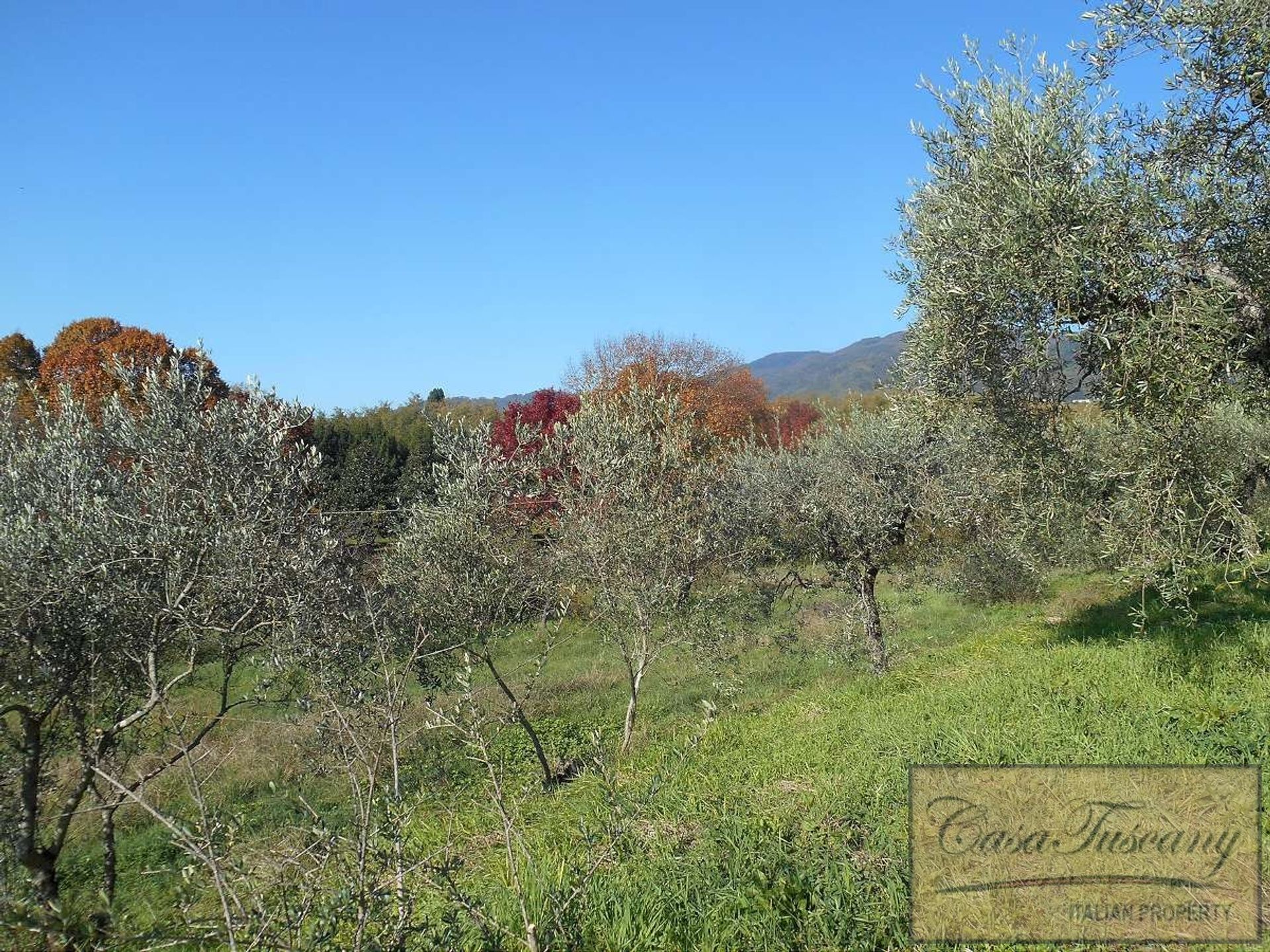 rumah dalam Lucca, Tuscany 10094486