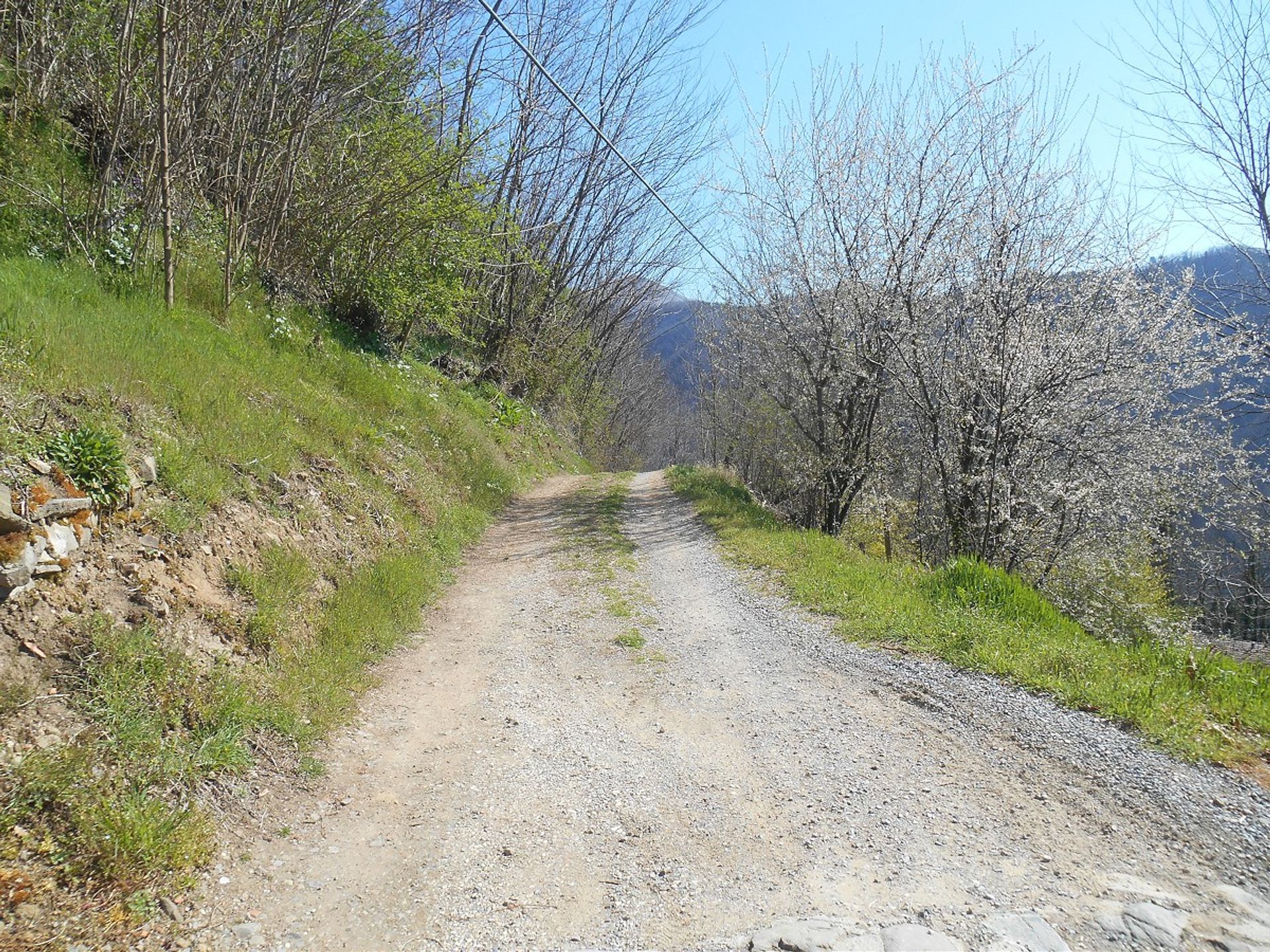 Casa nel , Tuscany 10094493