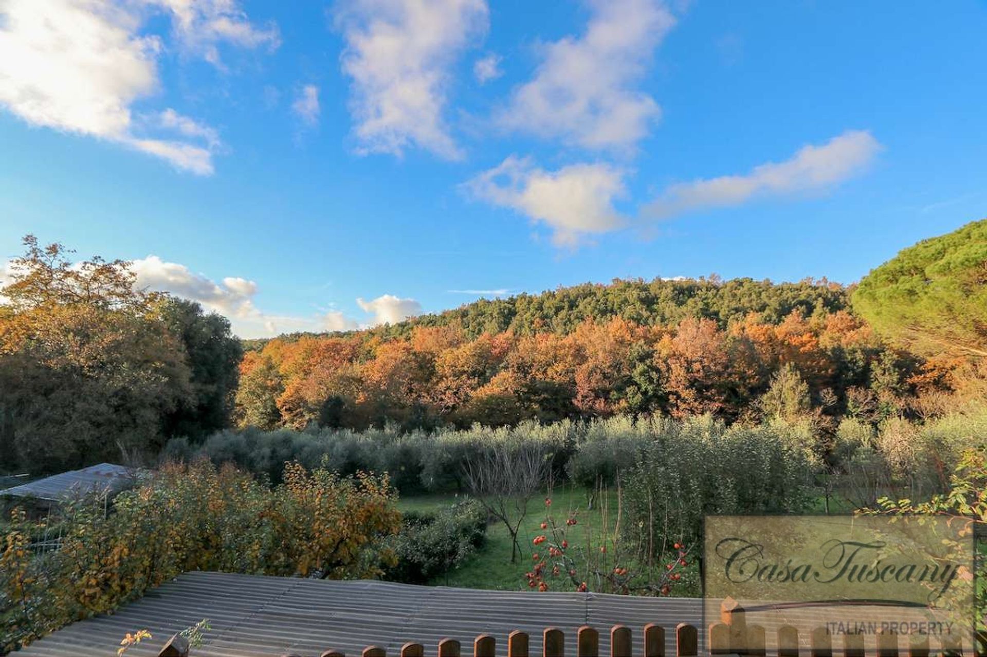 жилой дом в Montescudaio, Tuscany 10094527