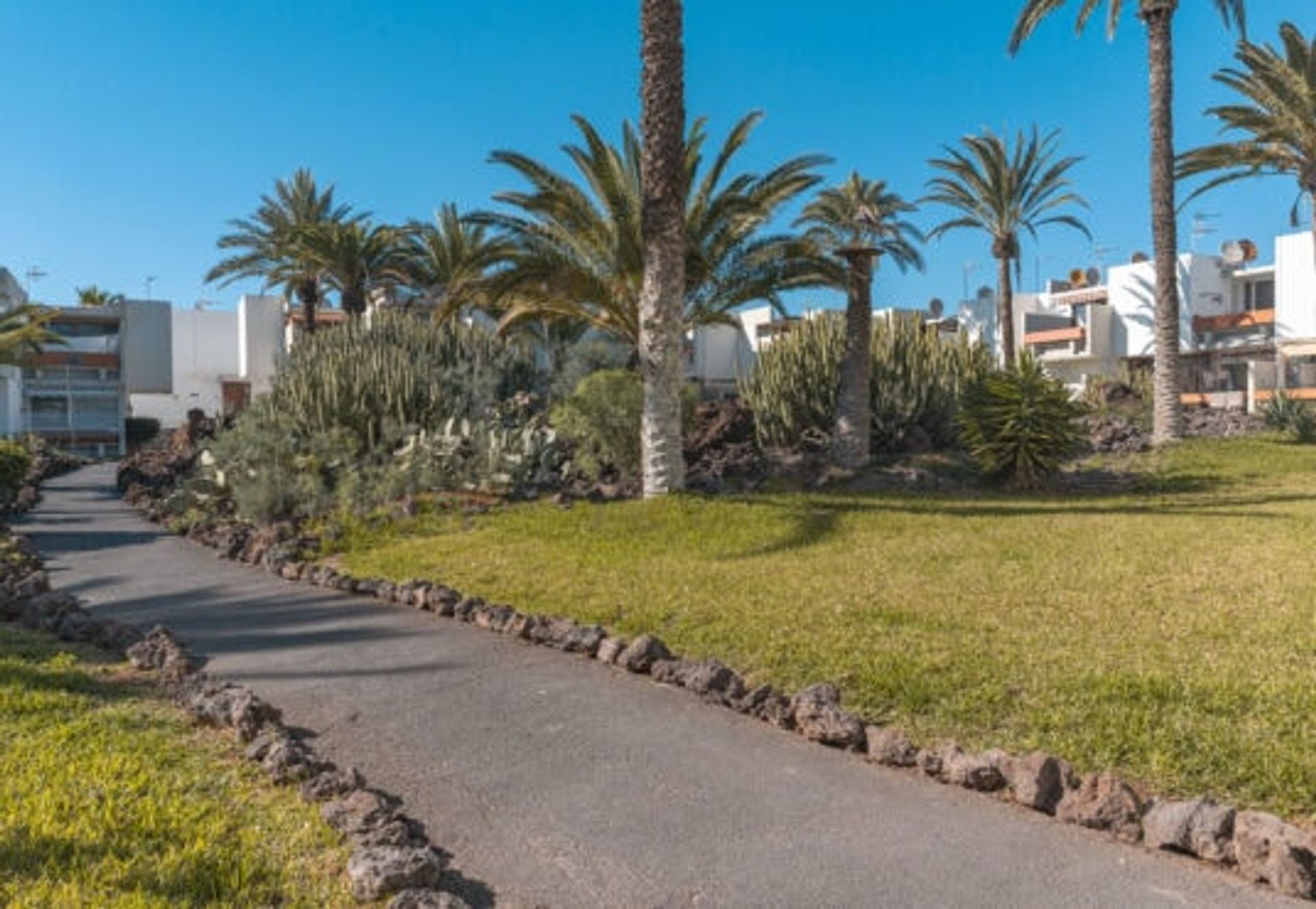 Borettslag i Arona, Tenerife 10094535