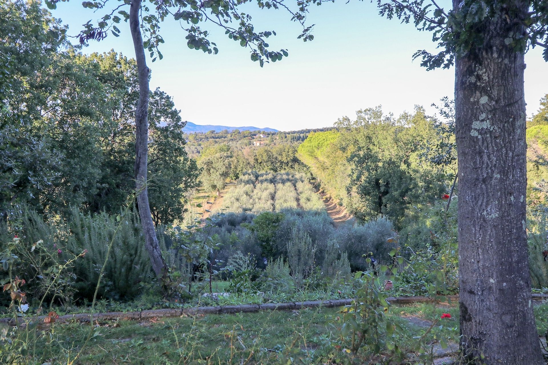 Rumah di Casale Marittimo, Tuscany 10094569