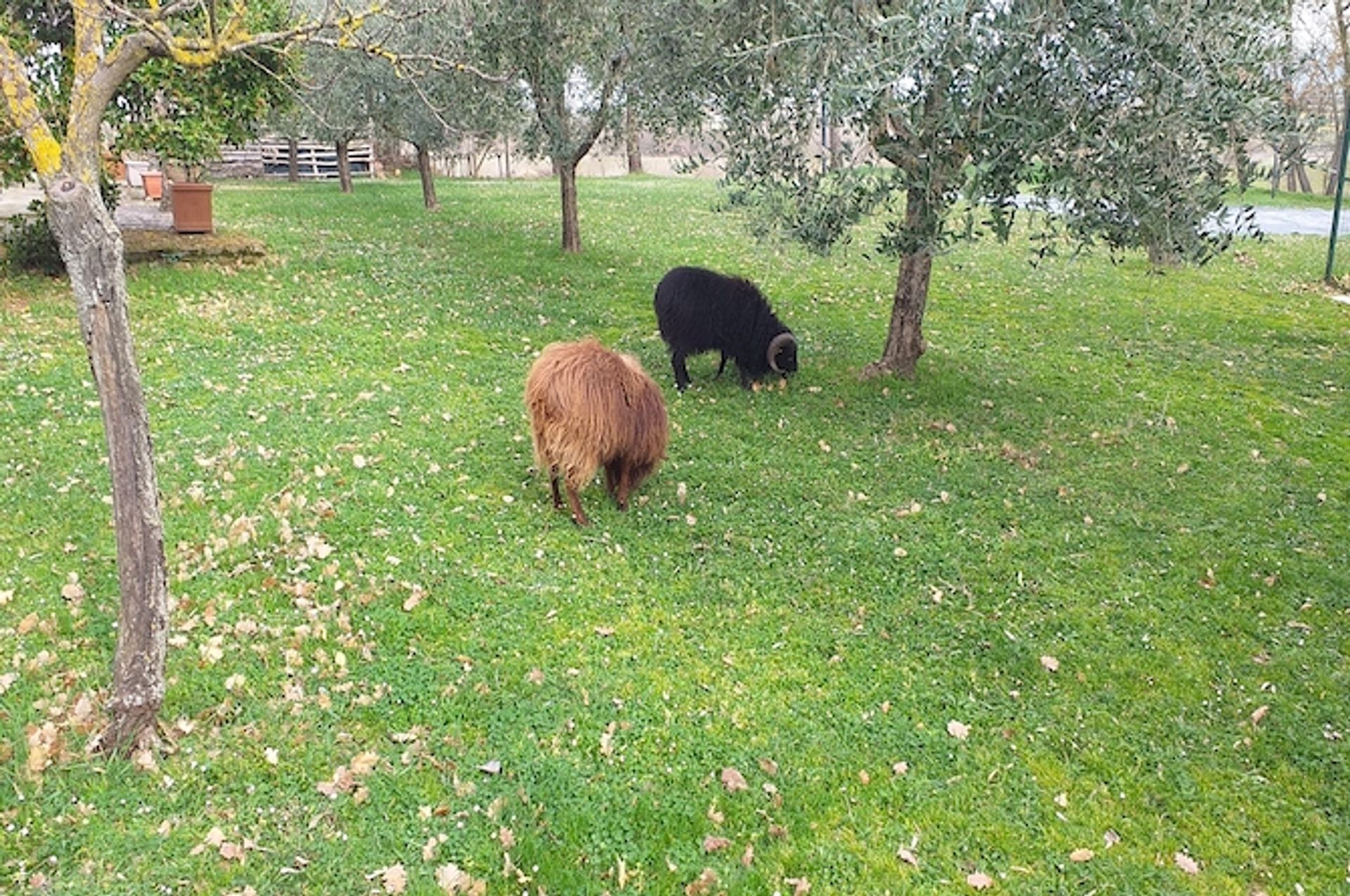 Rumah di Cortona, Tuscany 10094580