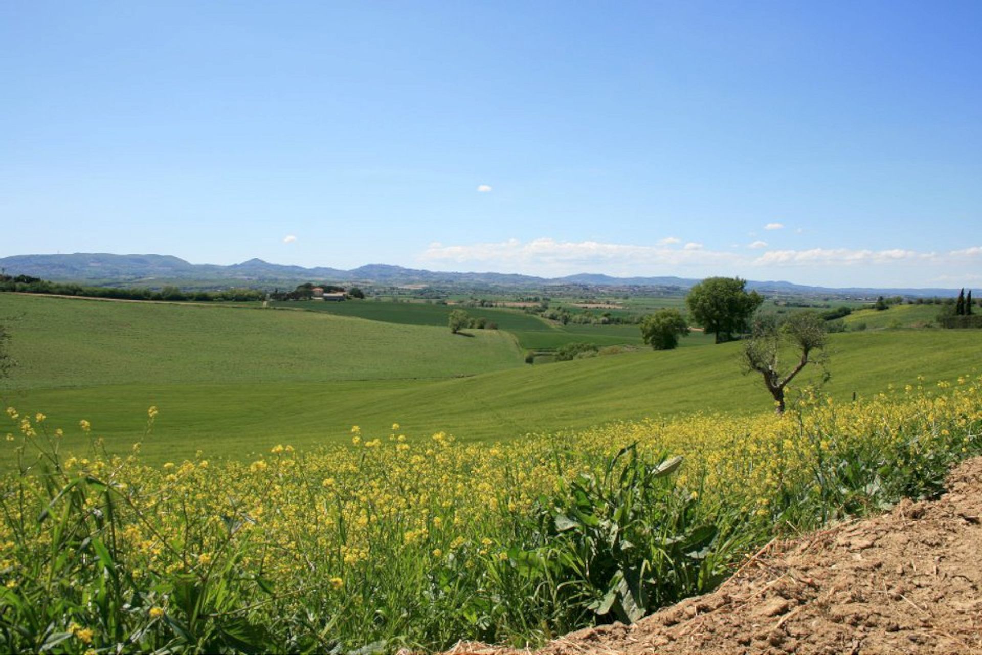 Huis in Pozzuolo, Umbria 10094627