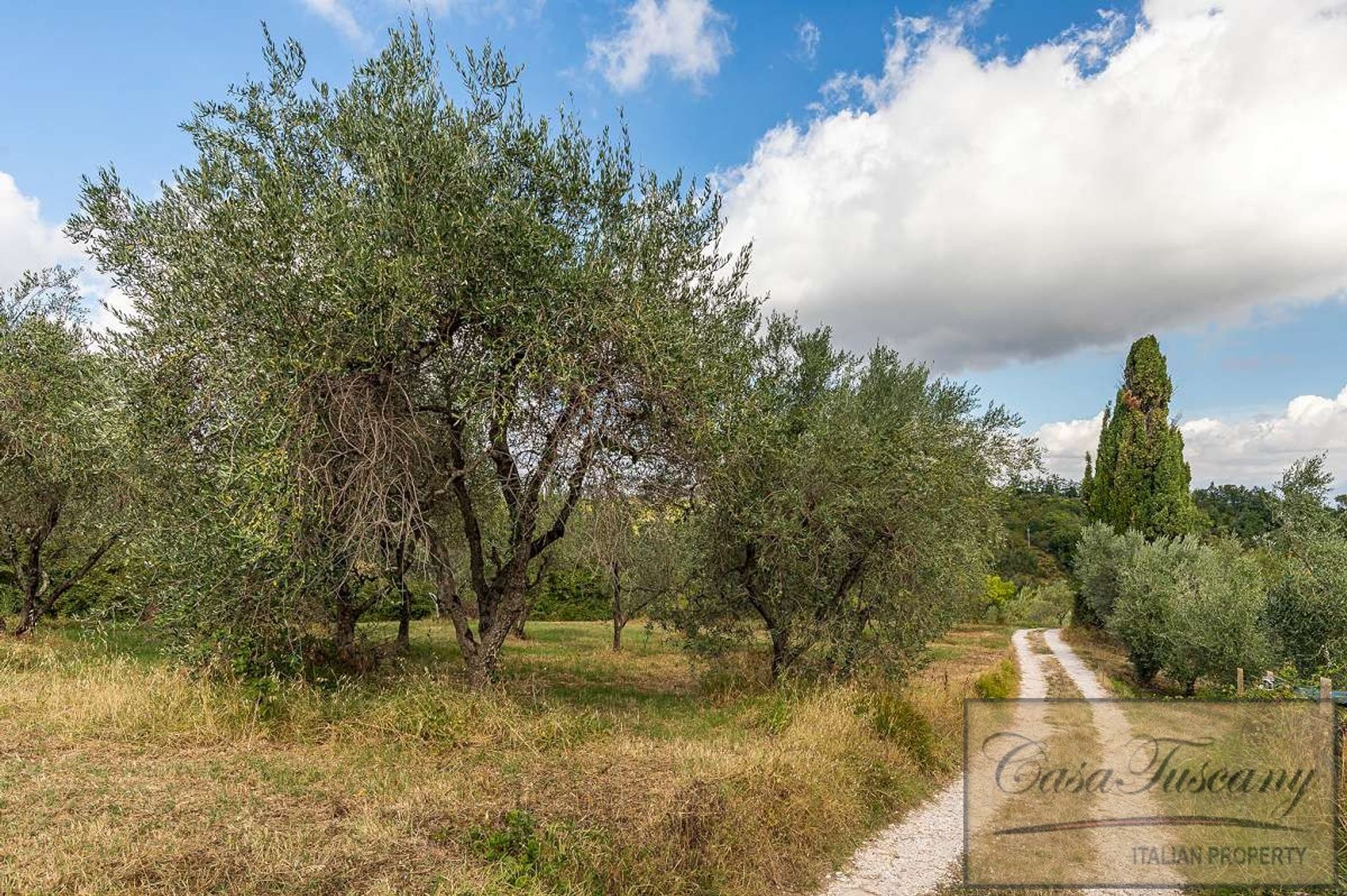 Hus i Casciana Terme, Tuscany 10094632