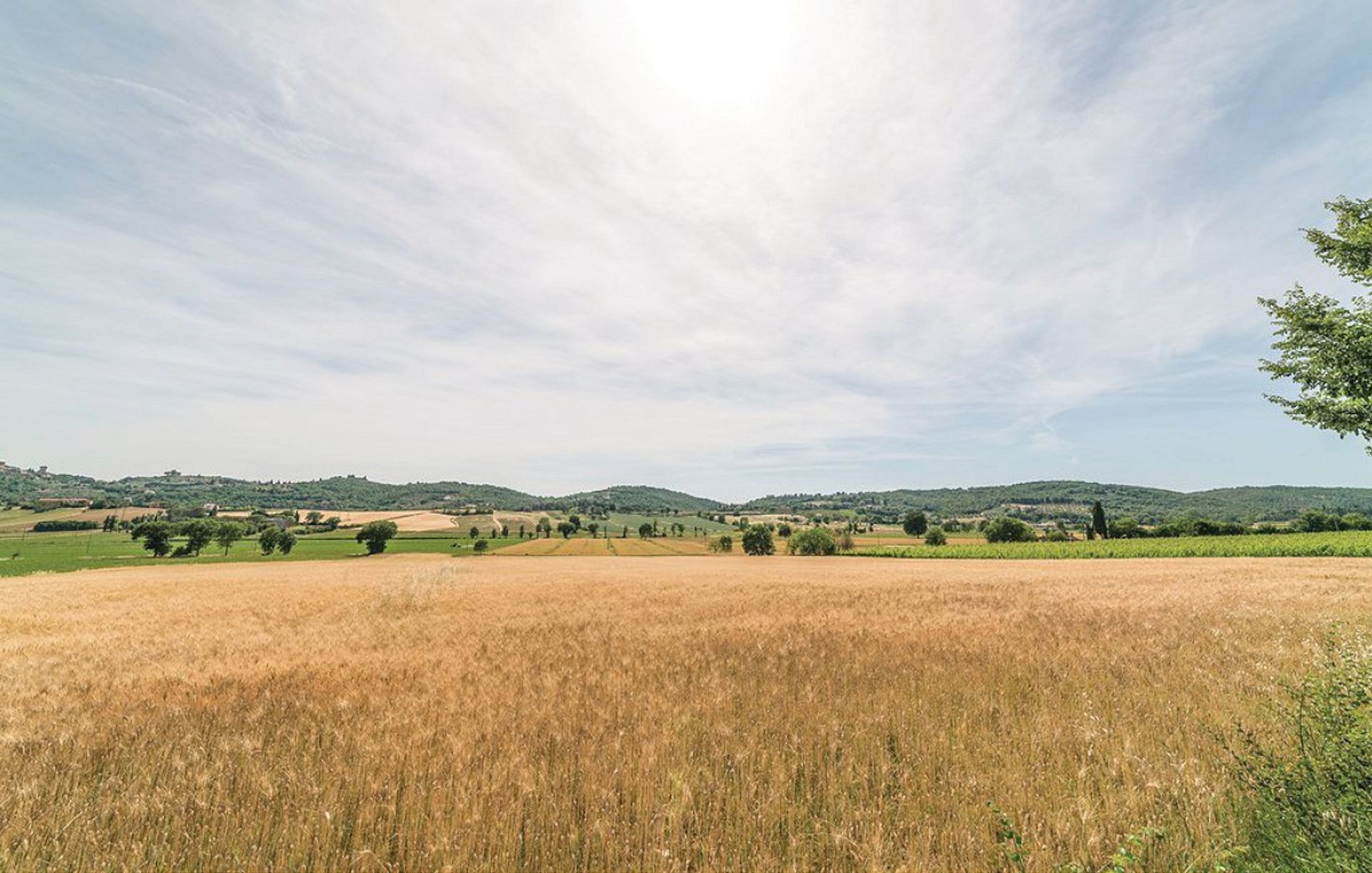 жилой дом в Lucignano, Tuscany 10094680