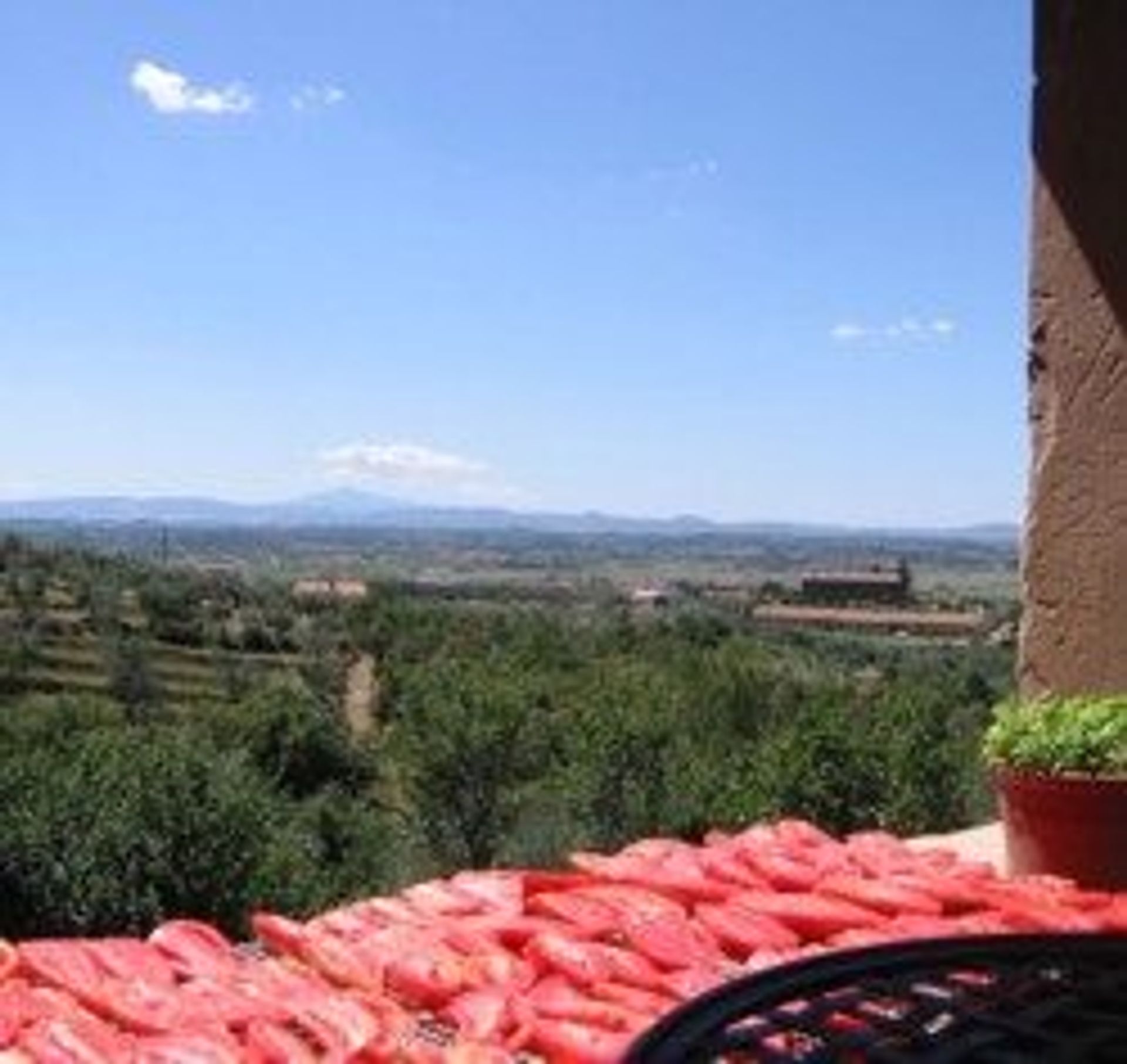 분양 아파트 에 Cortona, Tuscany 10094701