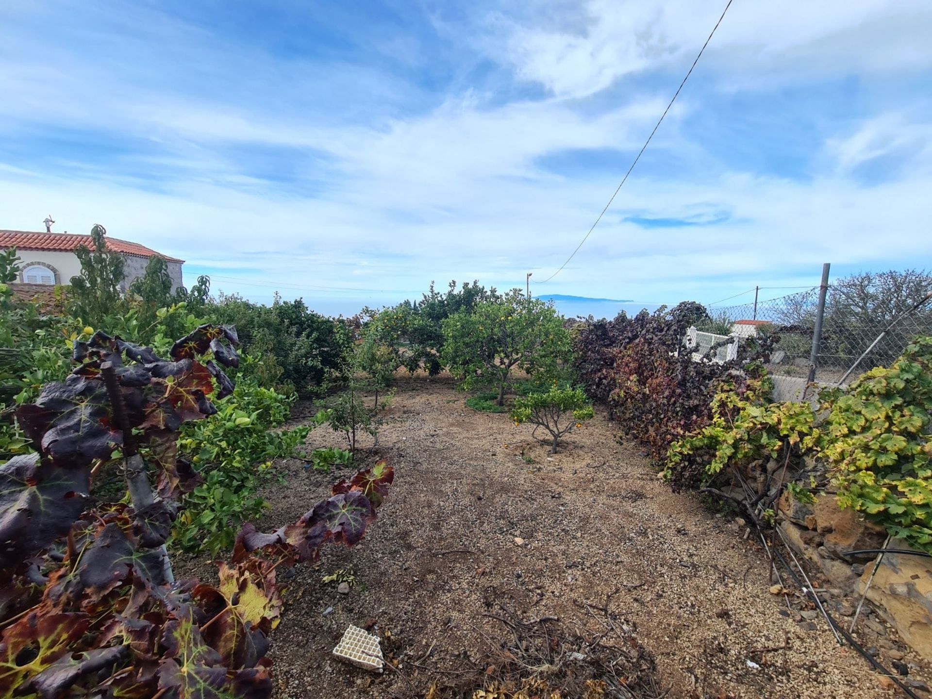 rumah dalam Adeje, Tenerife 10094705