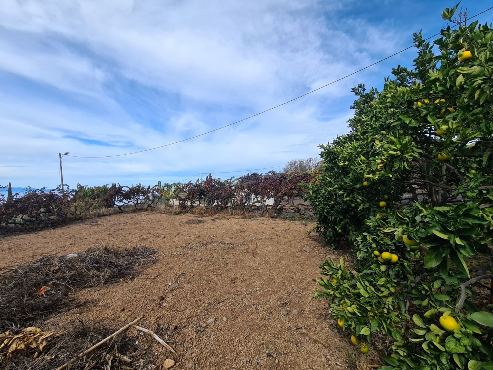 rumah dalam Adeje, Tenerife 10094705