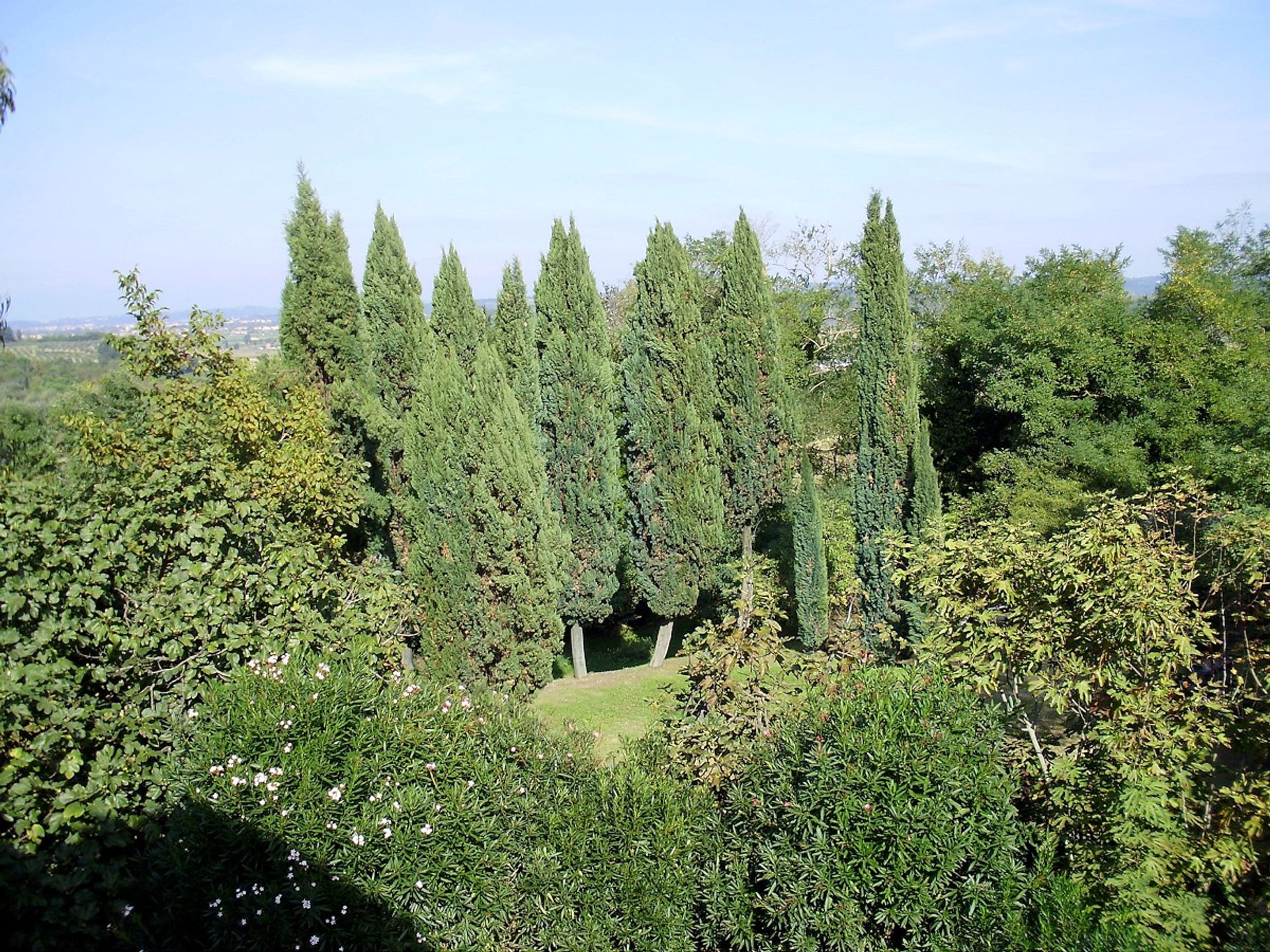 بيت في Pisa, Tuscany 10094757