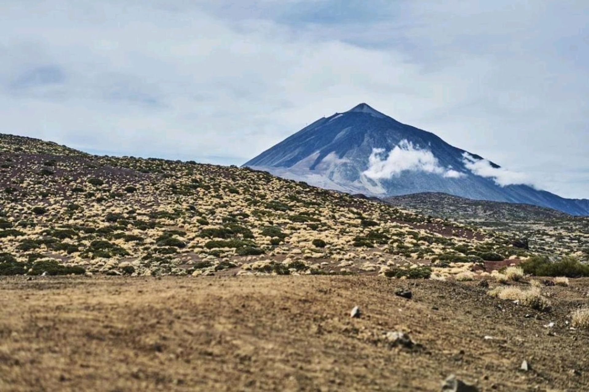 Kondominium di Granadilla de Abona, Tenerife 10094796