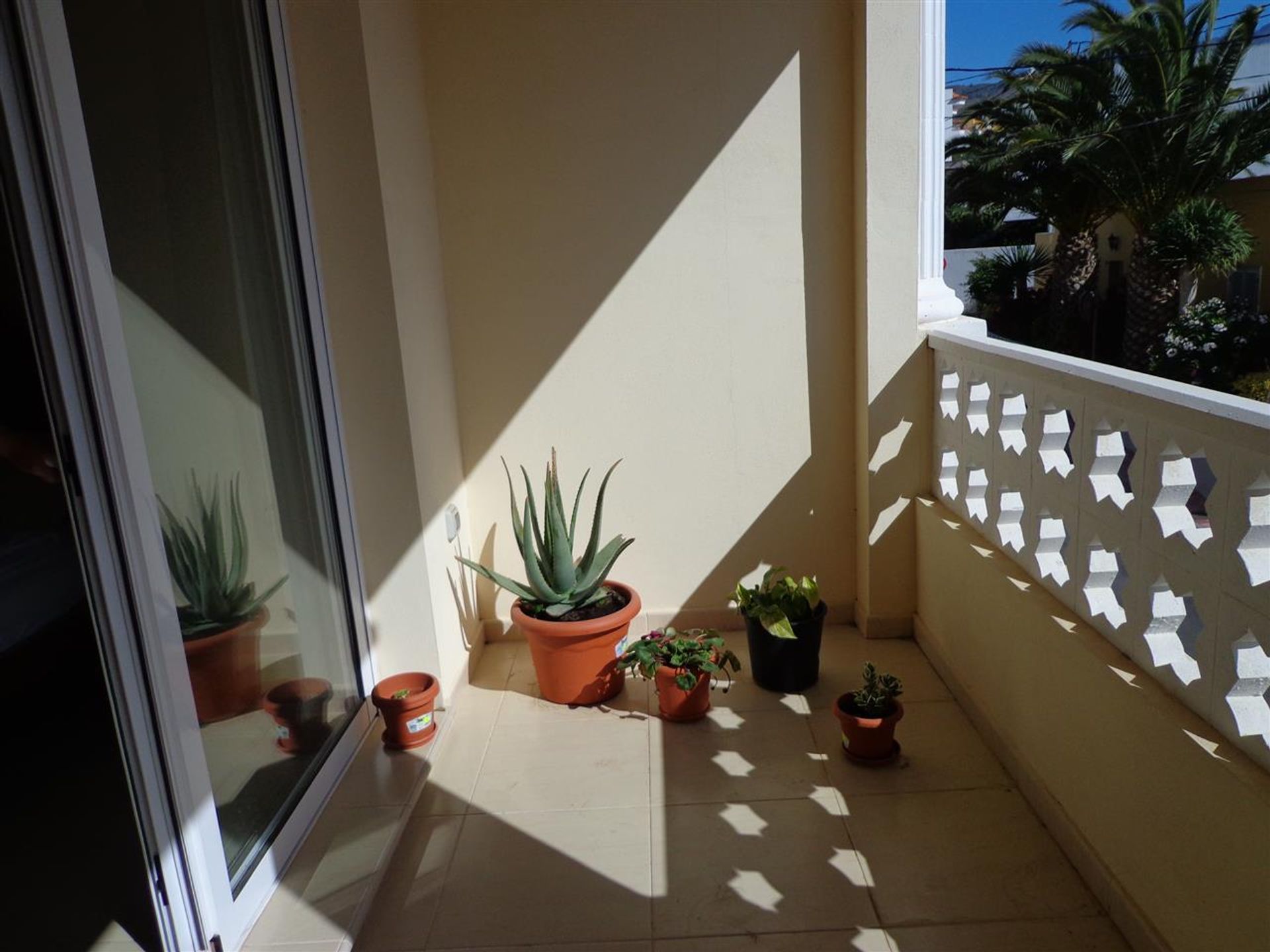 Huis in San Miguel de Abona, Tenerife 10094801