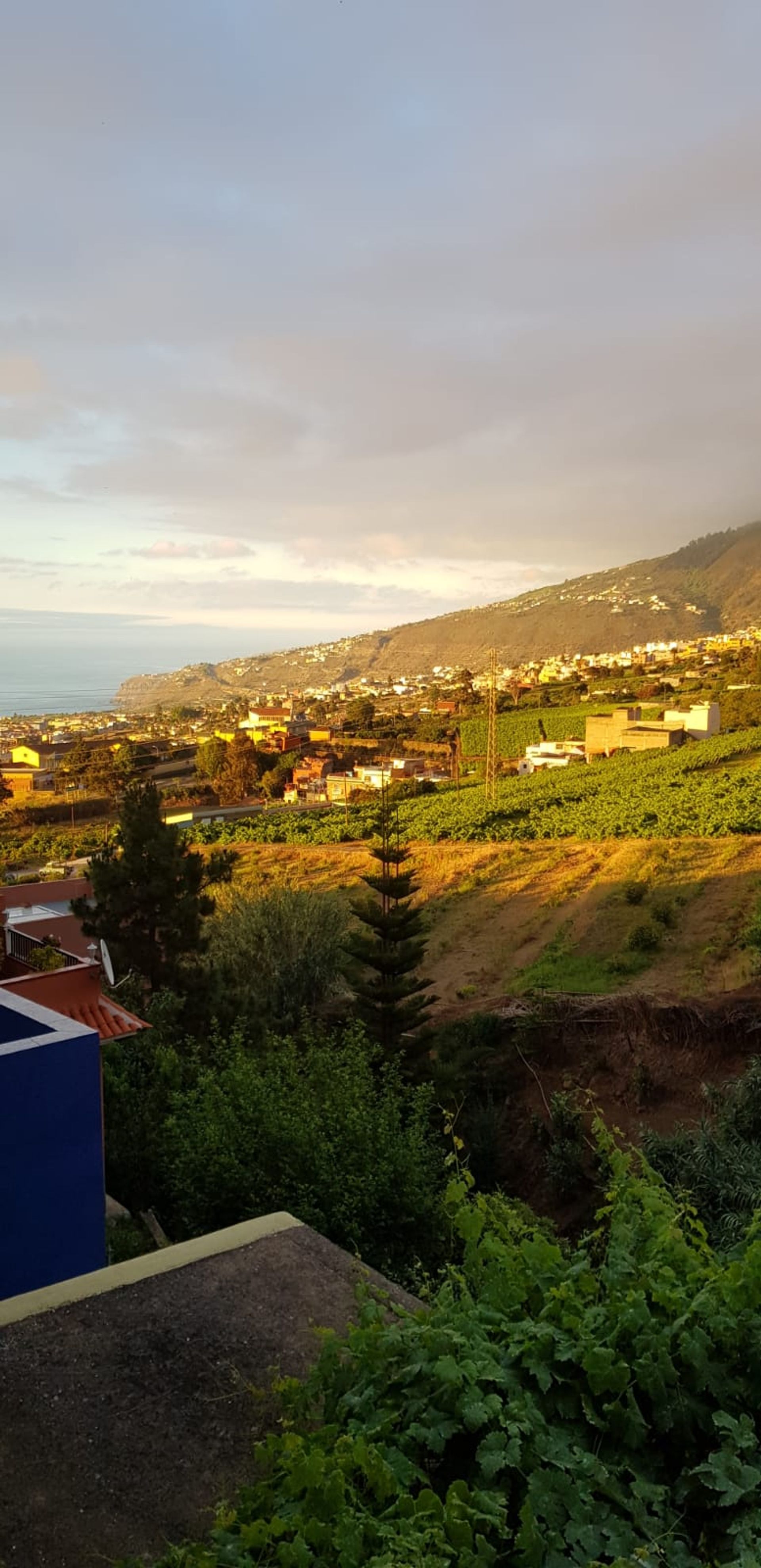 Будинок в La Orotava, Tenerife 10094818