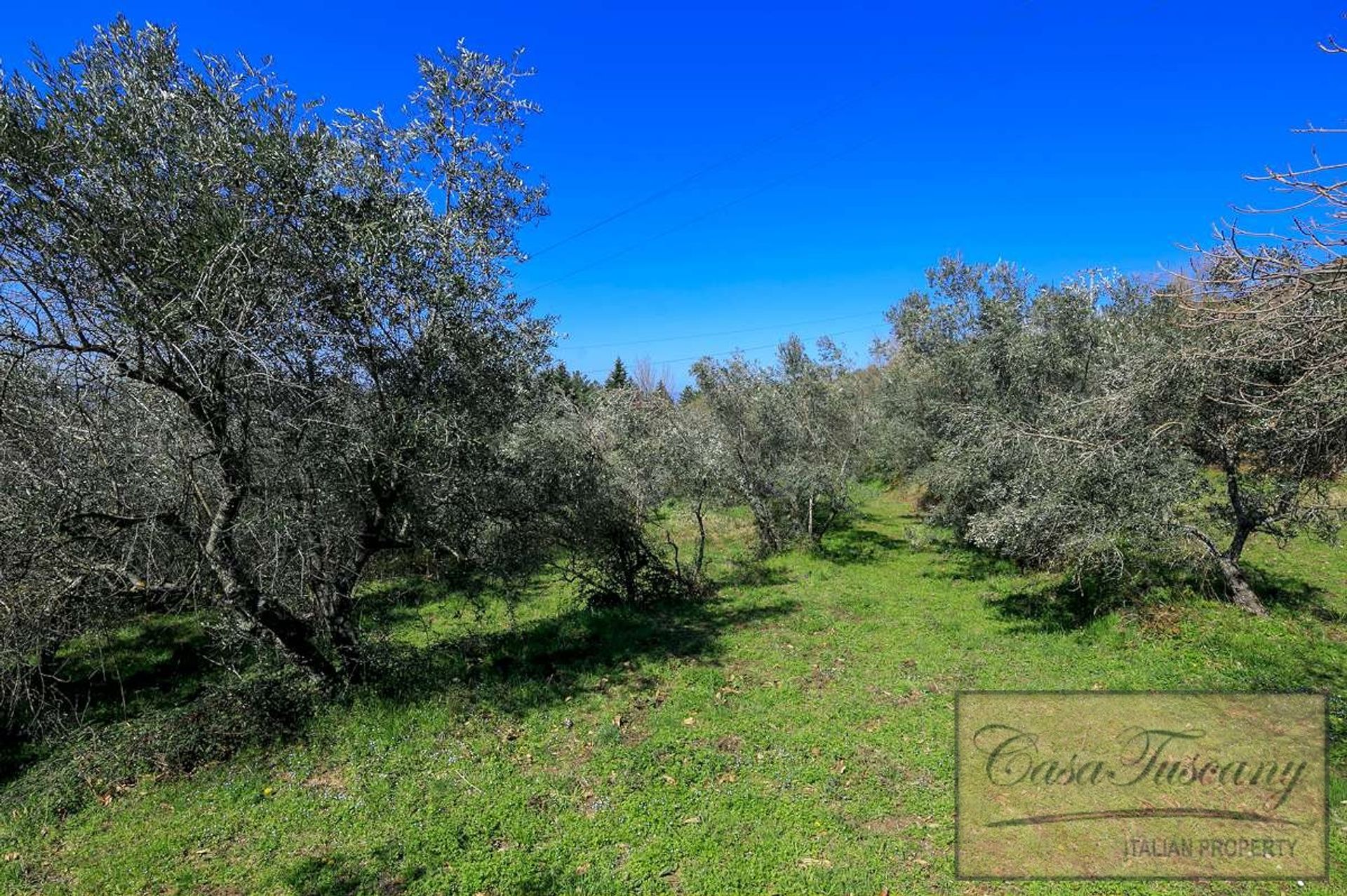 loger dans Castelfranco Di Sopra, Tuscany 10094834