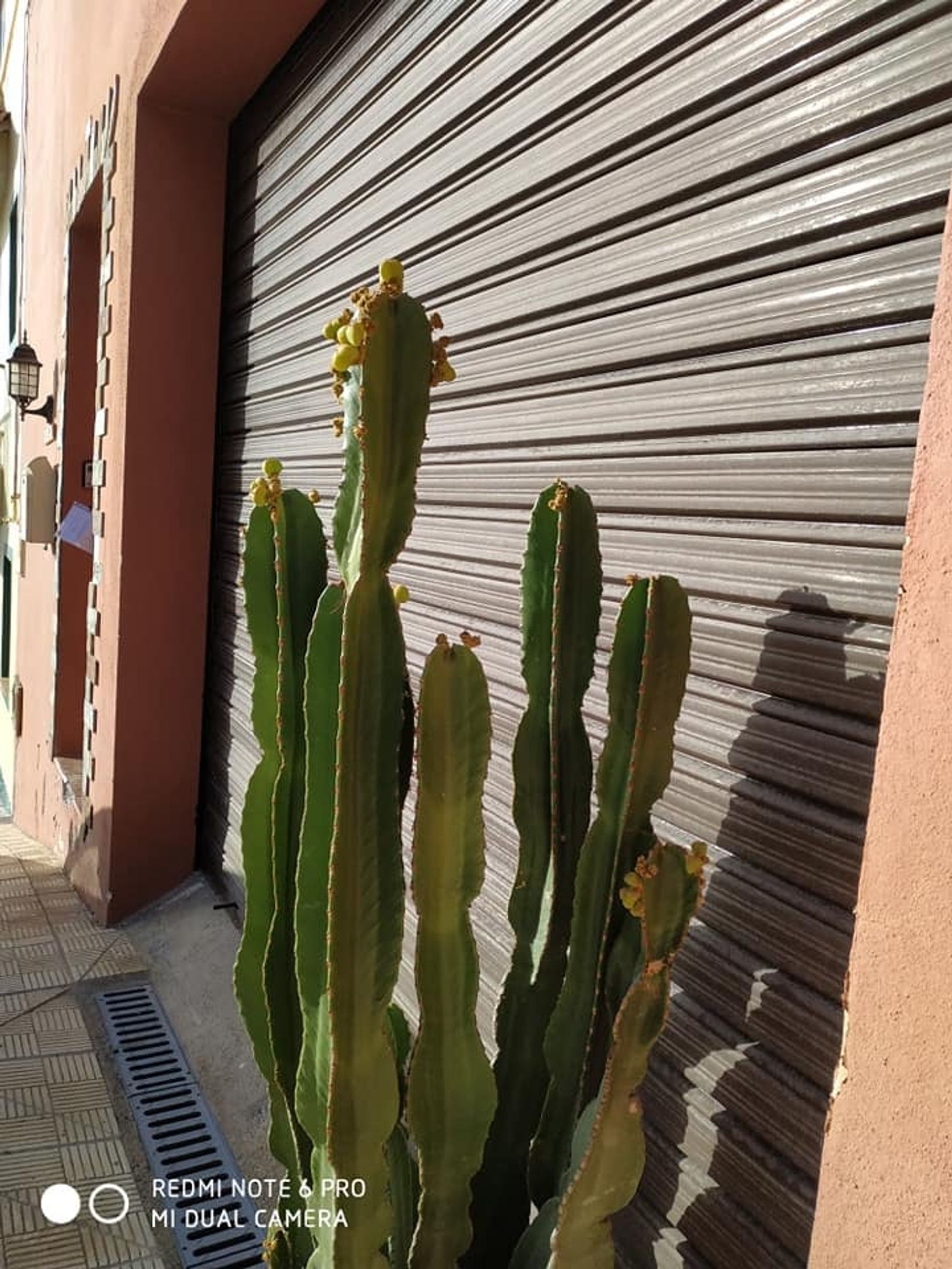 Talo sisään Candelaria, Tenerife 10094847