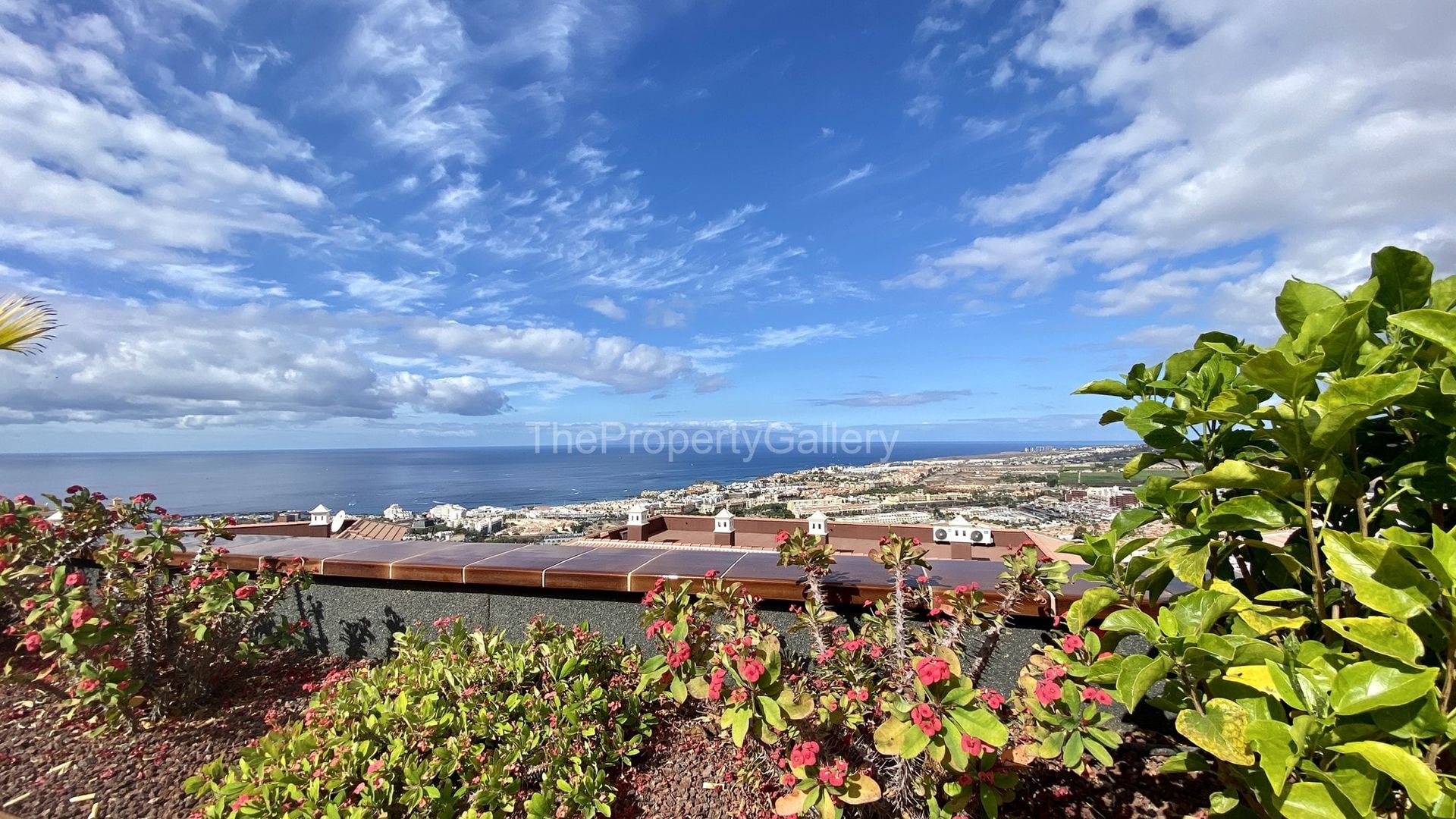 सम्मिलित में Costa Adeje, Tenerife 10094861